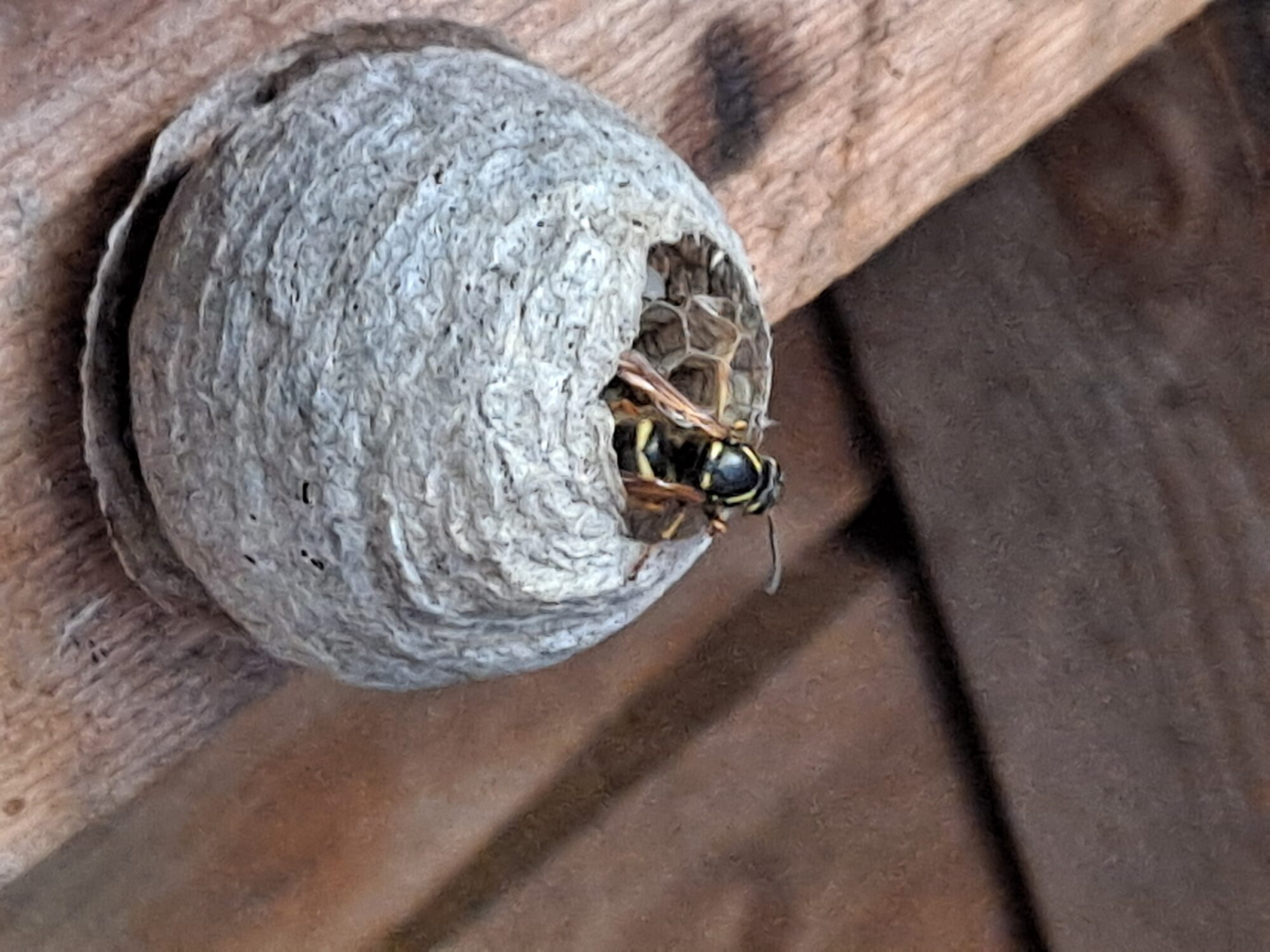 Valokuvaaja: Satu Suuntala