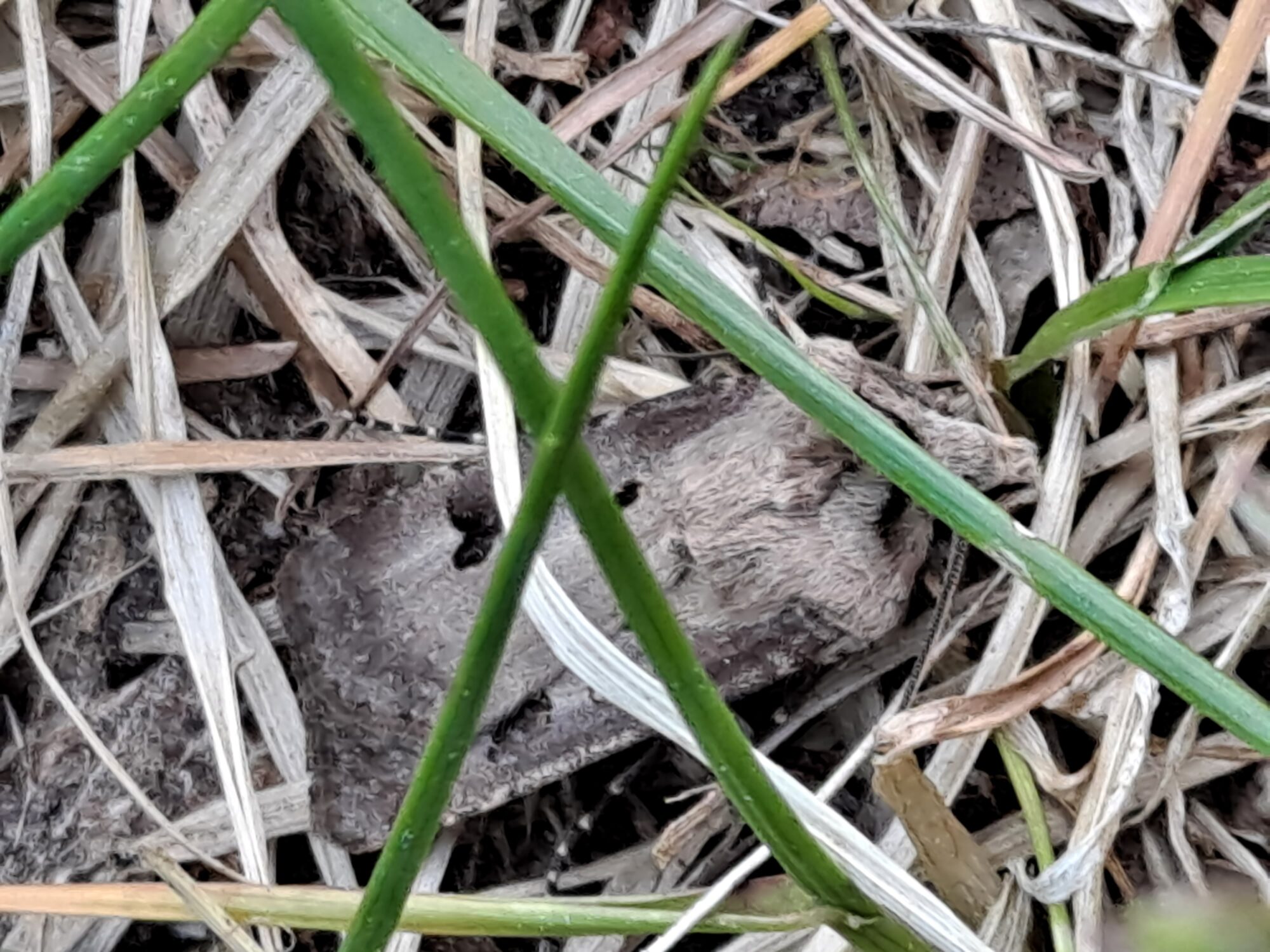 Valokuvaaja: Satu Suuntala