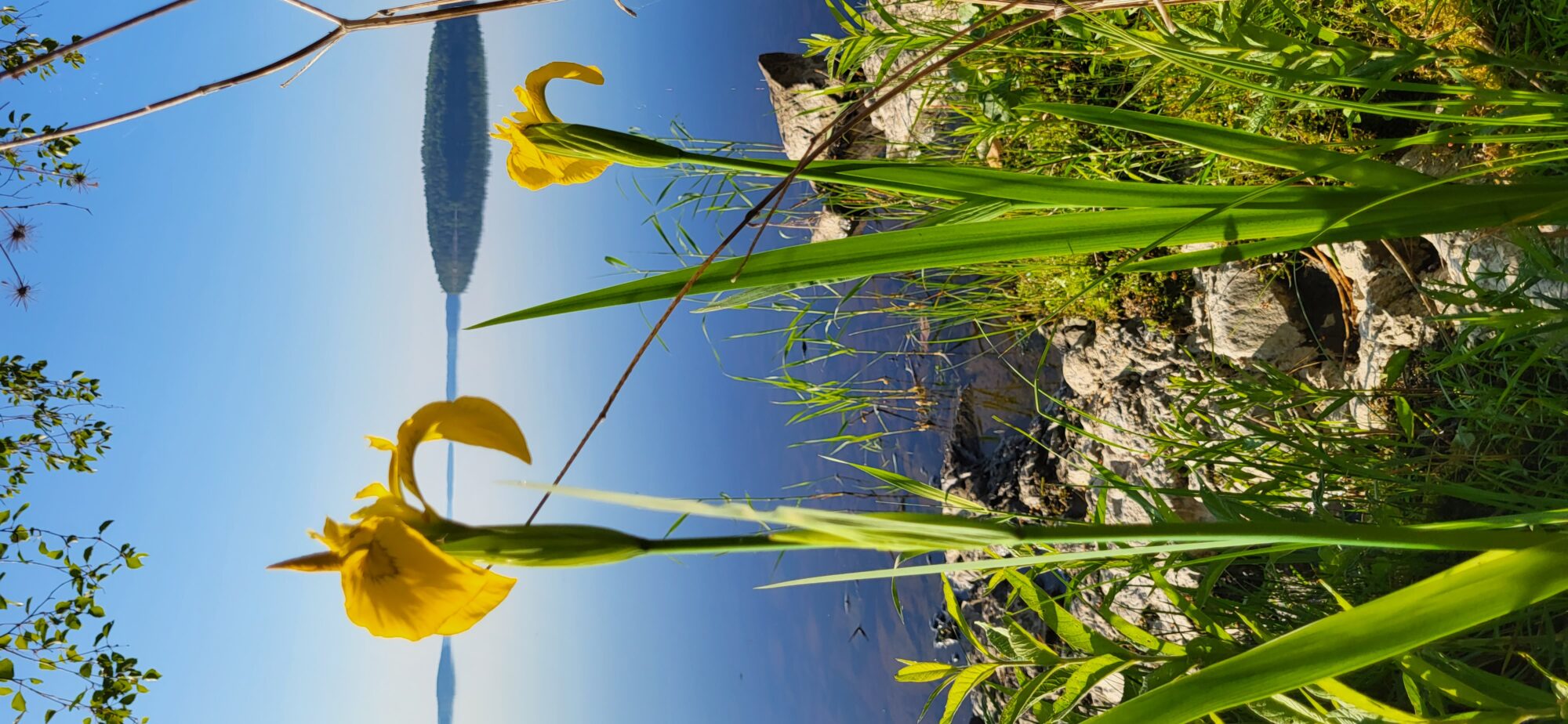 Valokuvaaja: Jenna Pietilä