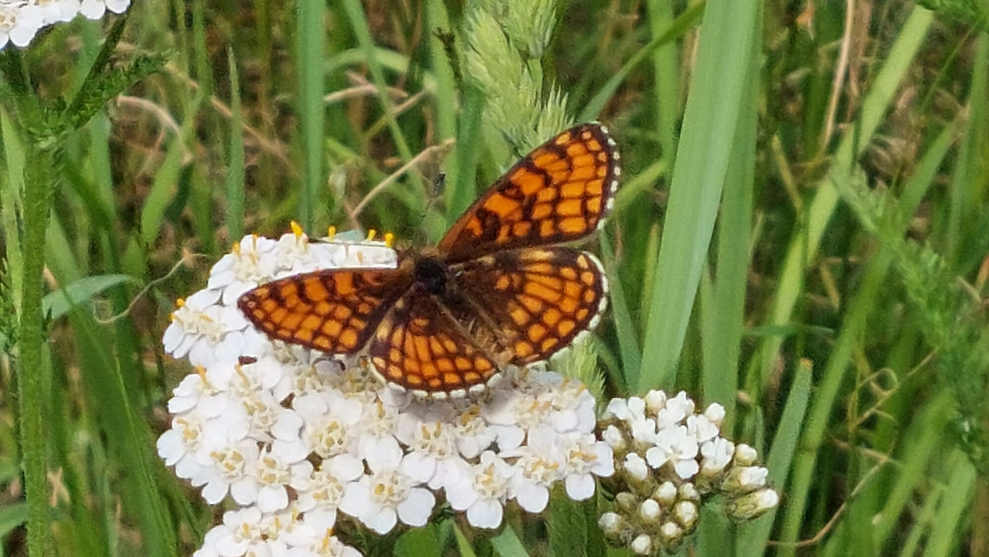Valokuvaaja: Tarja Naukkarinen Valokuvaaja: Tarja Naukkarinen