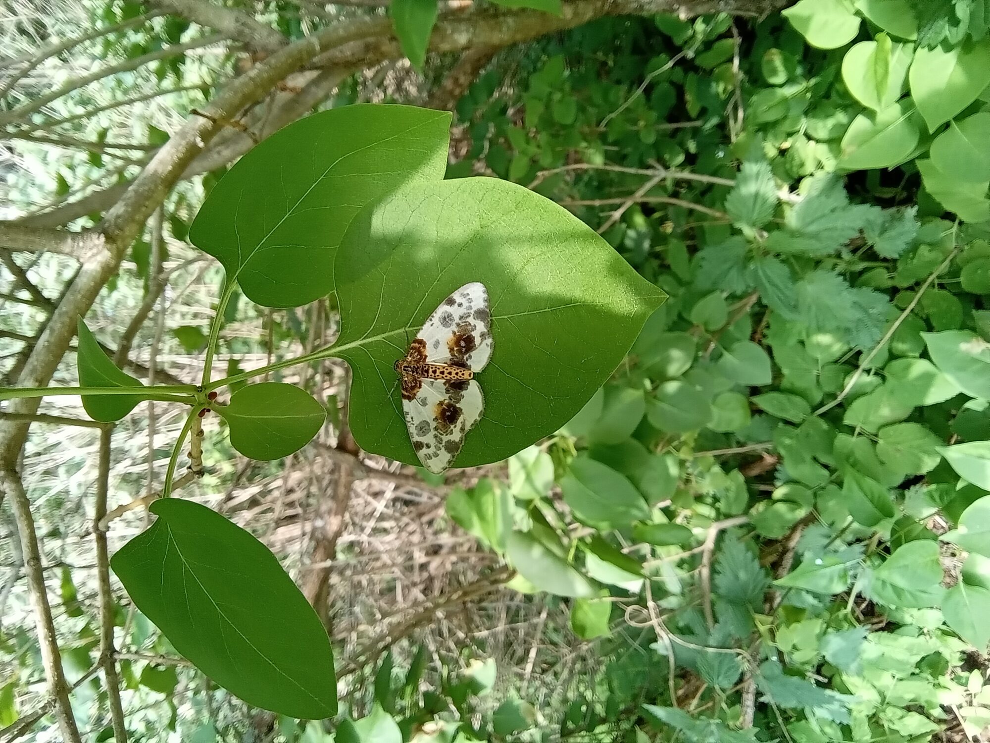 Valokuvaaja: Eija Johanna Saastamoinen