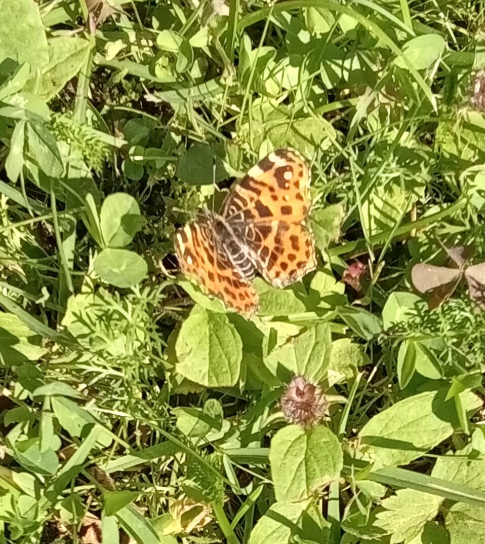 Valokuvaaja: Eija Johanna Saastamoinen