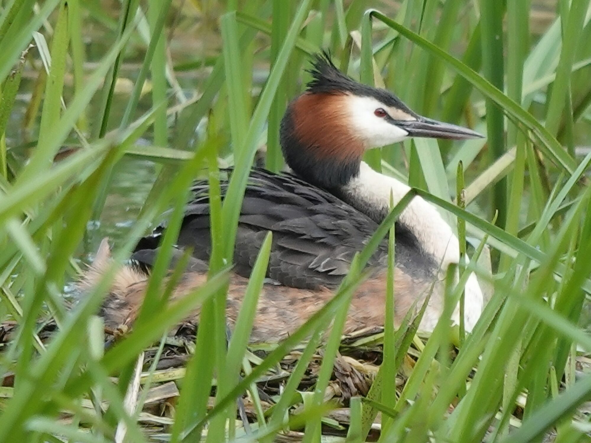 Valokuvaaja: Pekka Heino