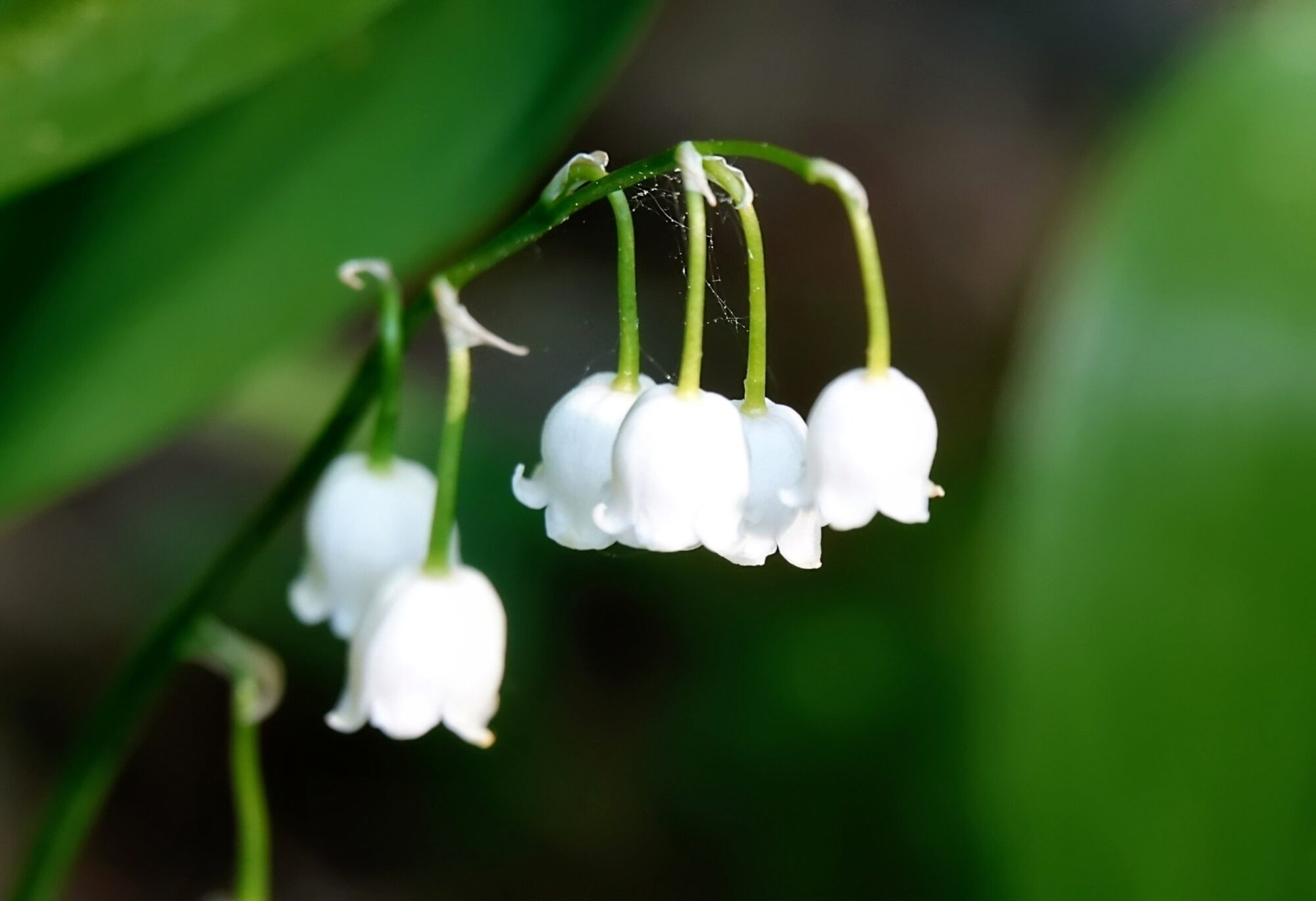 Valokuvaaja: Pekka Heino