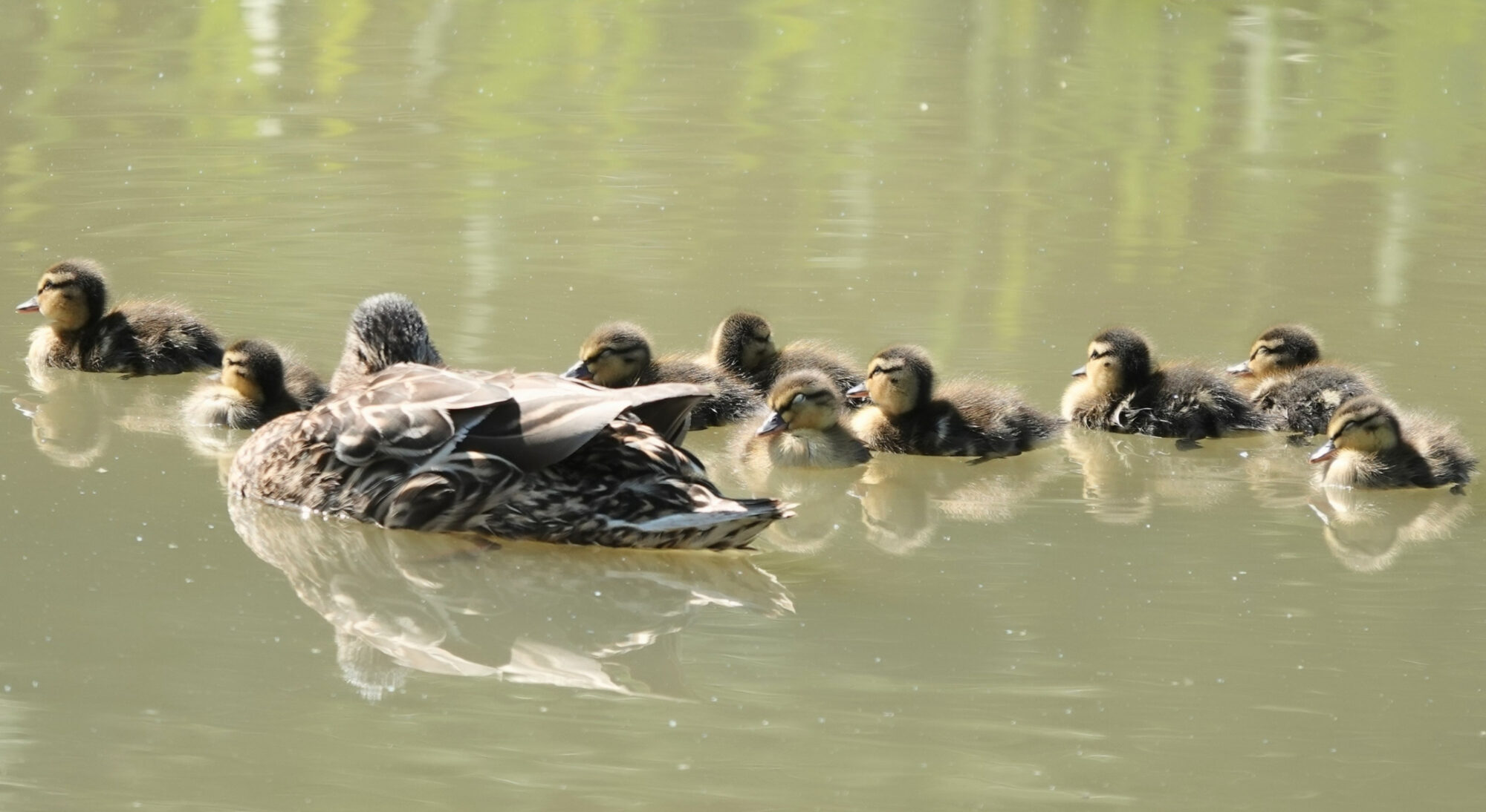 Valokuvaaja: Pekka Heino Valokuvaaja: Pekka Heino