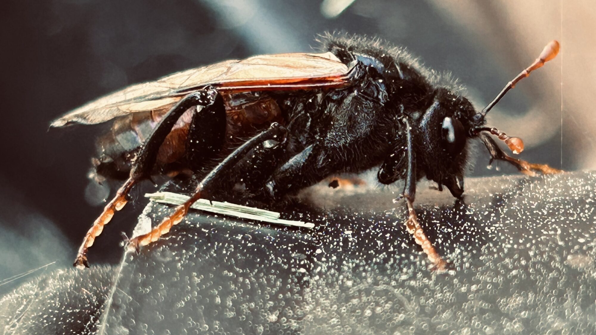 Valokuvaaja: Mika Orava