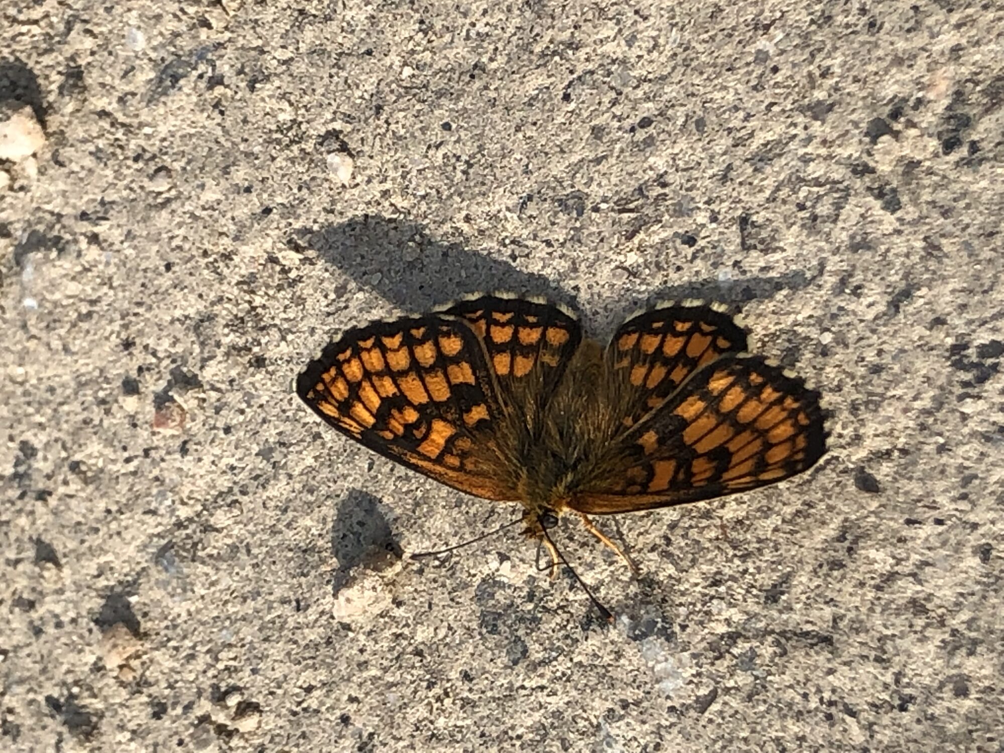 Valokuvaaja: Susanna