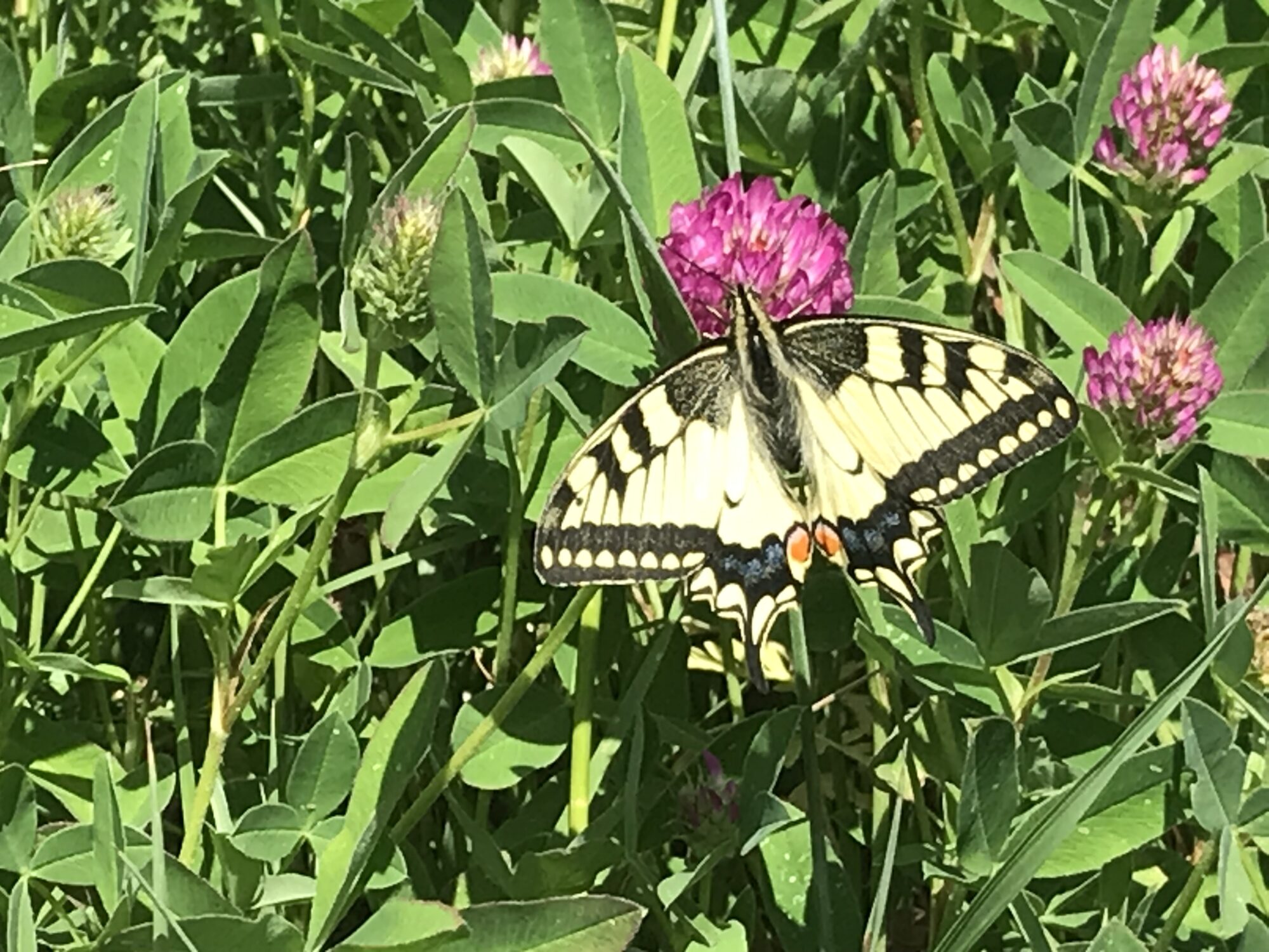 Valokuvaaja: Janne Aro
