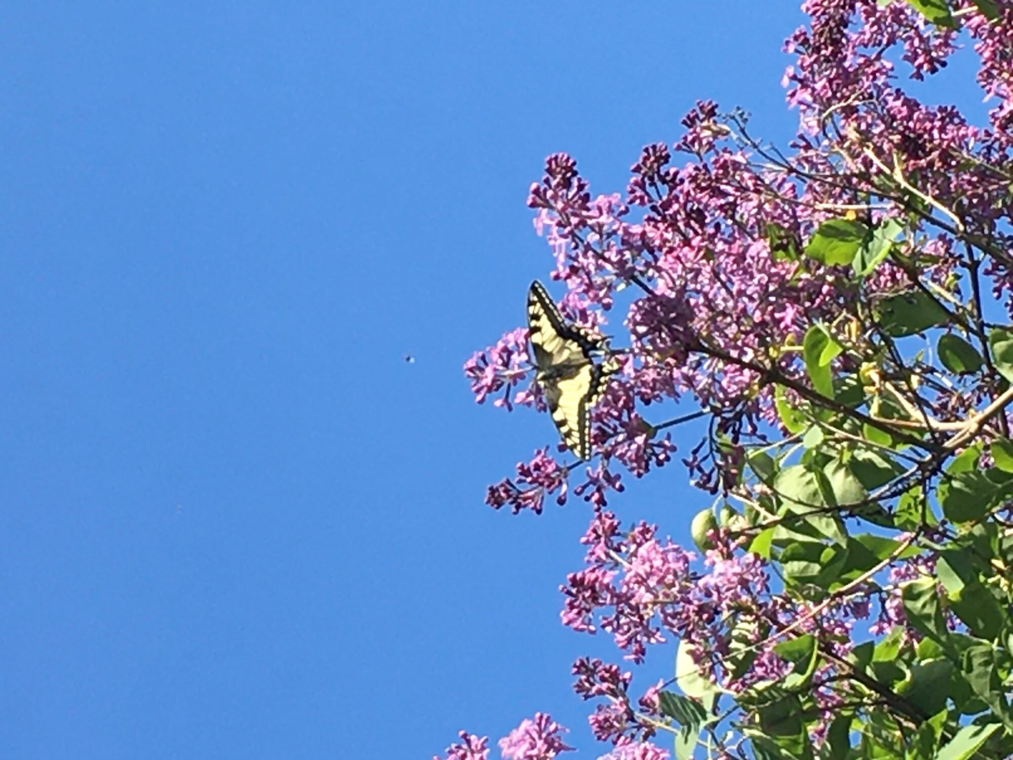 Valokuvaaja: Ossi Teittinen