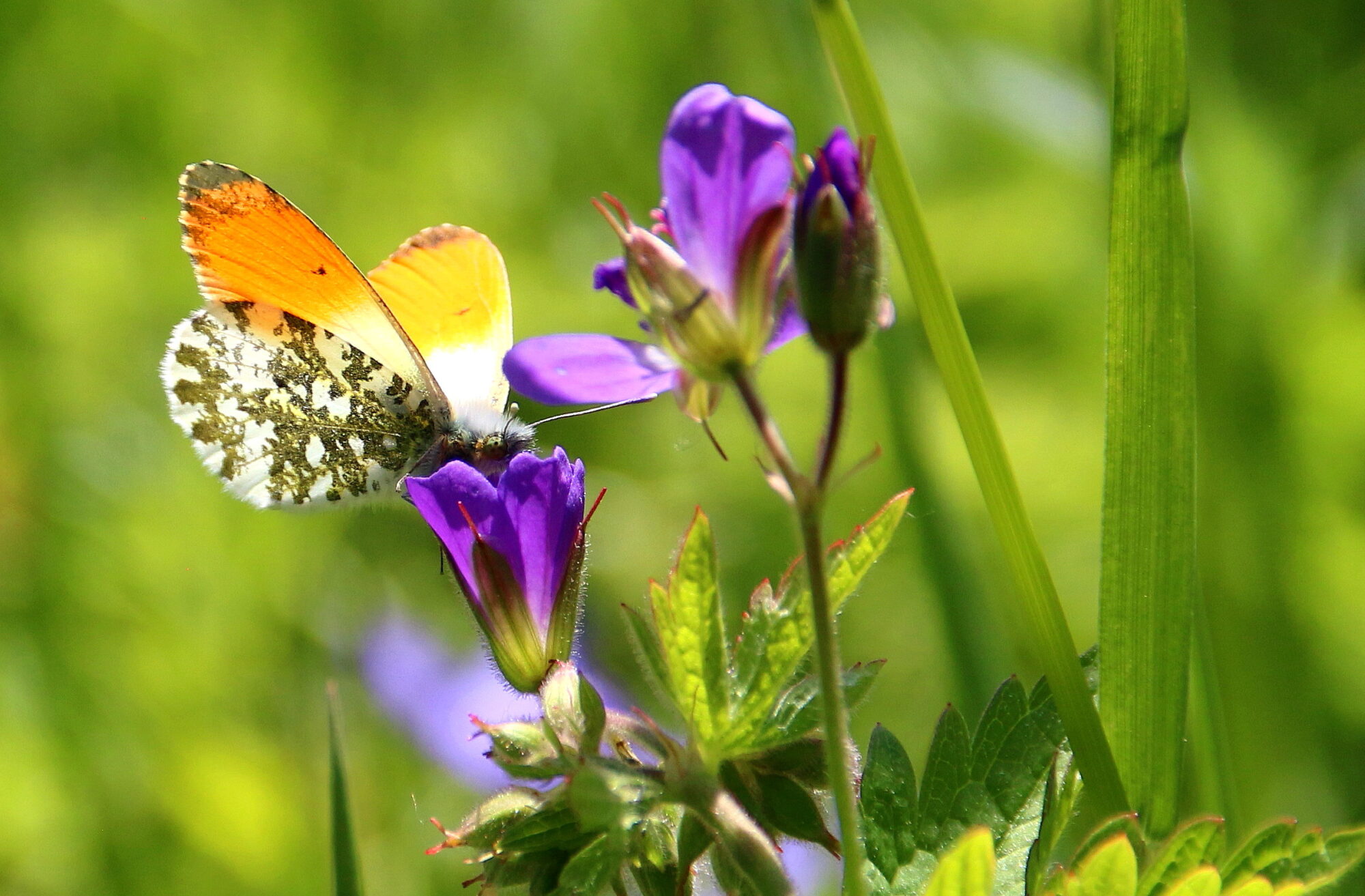 Valokuvaaja: Tuukka Pahtamaa