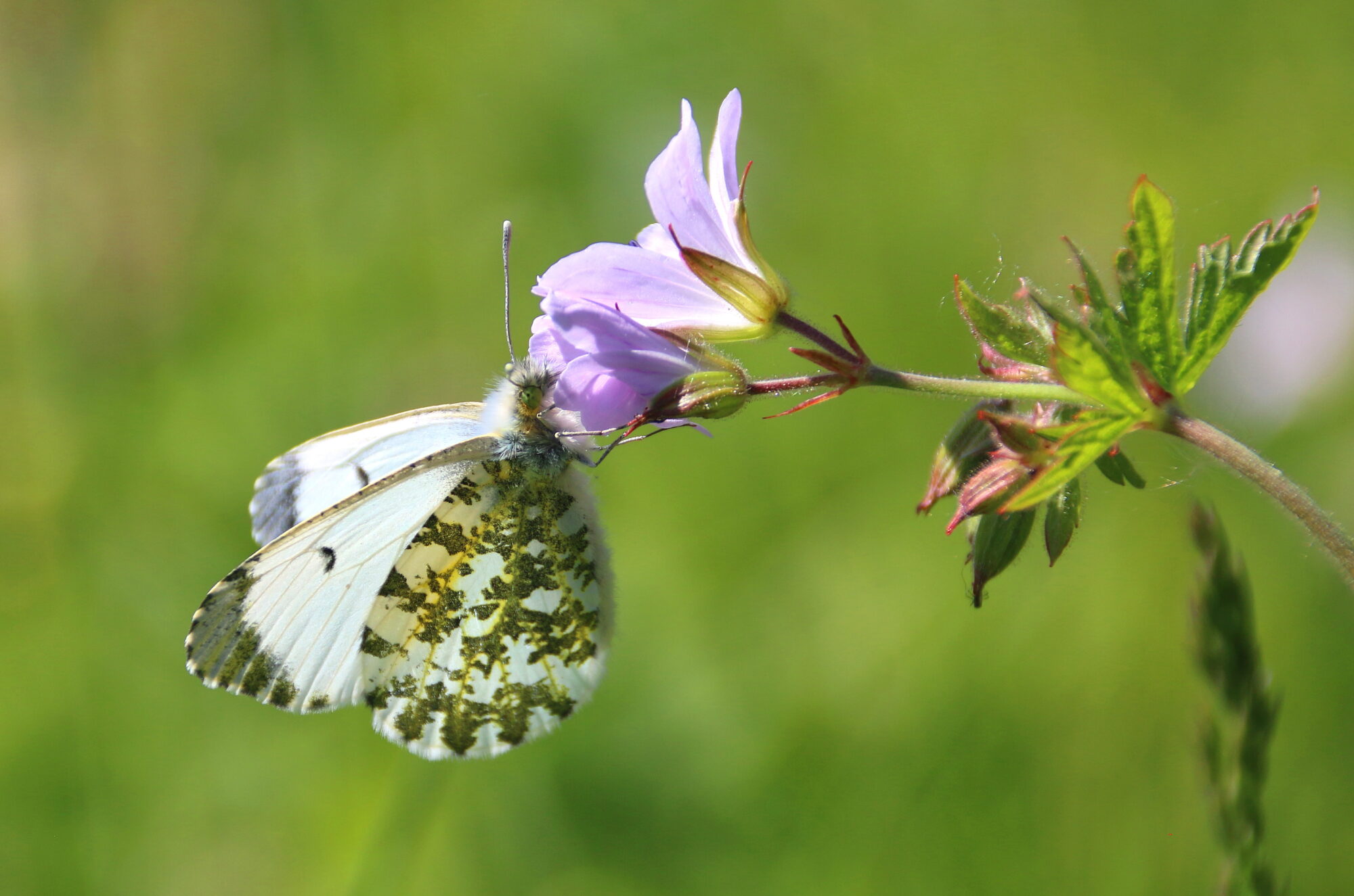 Valokuvaaja: Tuukka Pahtamaa