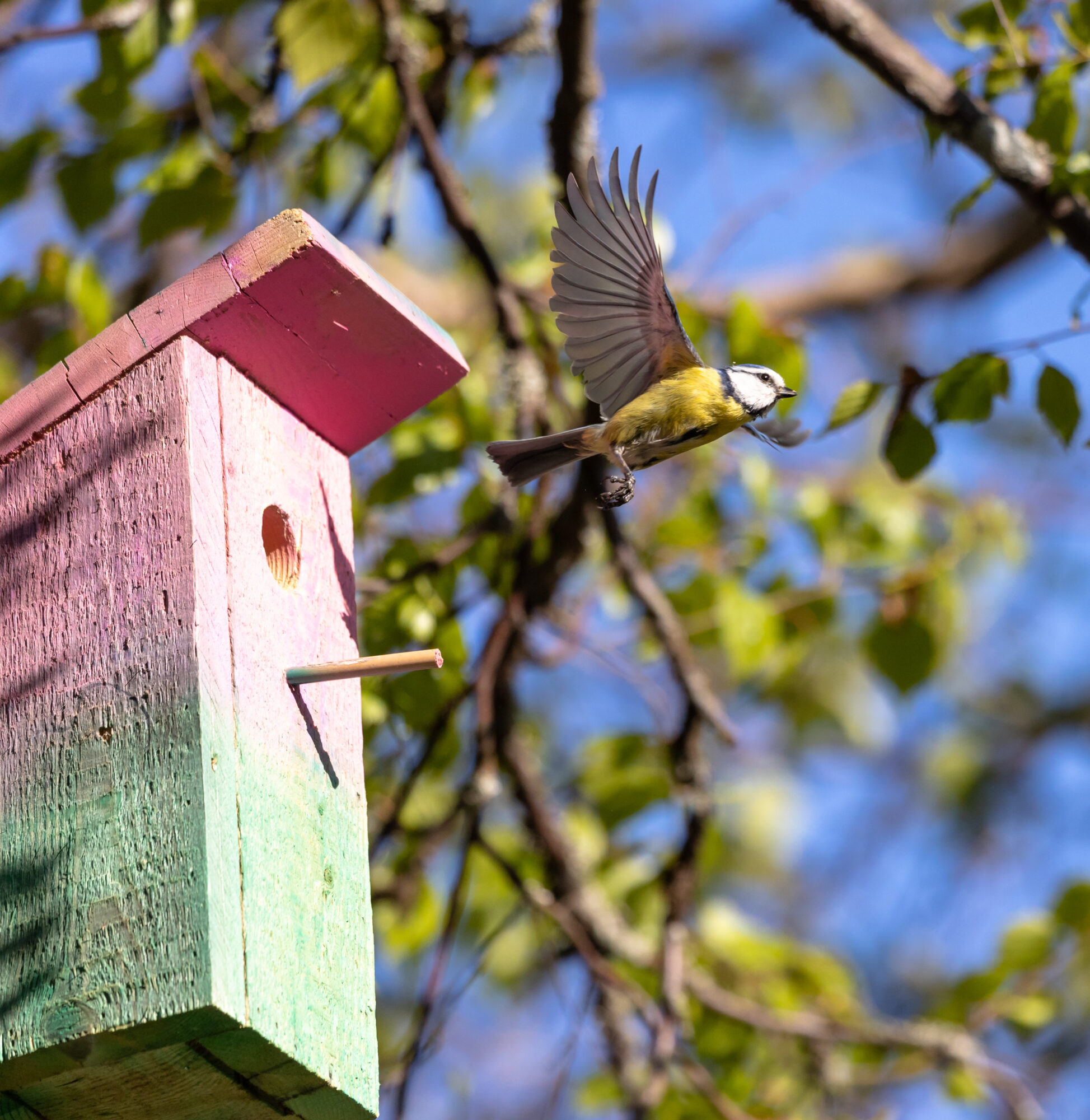 Valokuvaaja: Anne keskivinkka