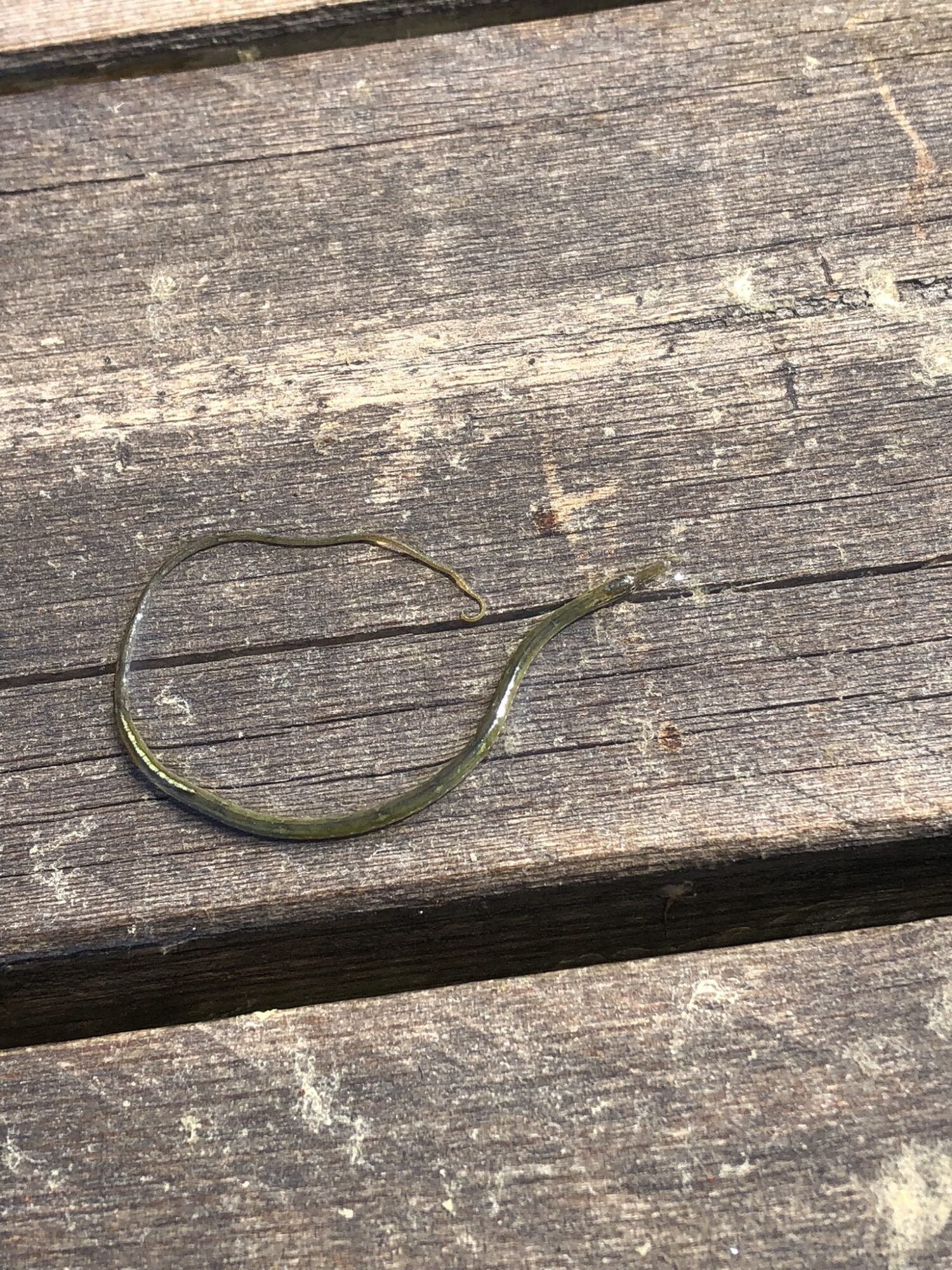 Valokuvaaja: Ismo Käkönen