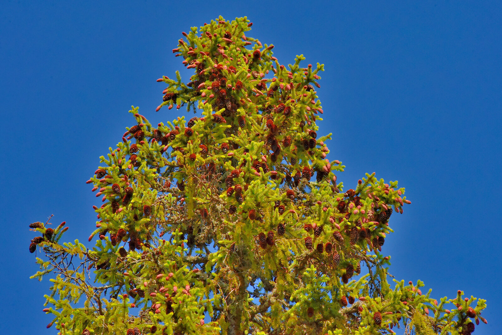 Valokuvaaja: Reijo Juurinen
