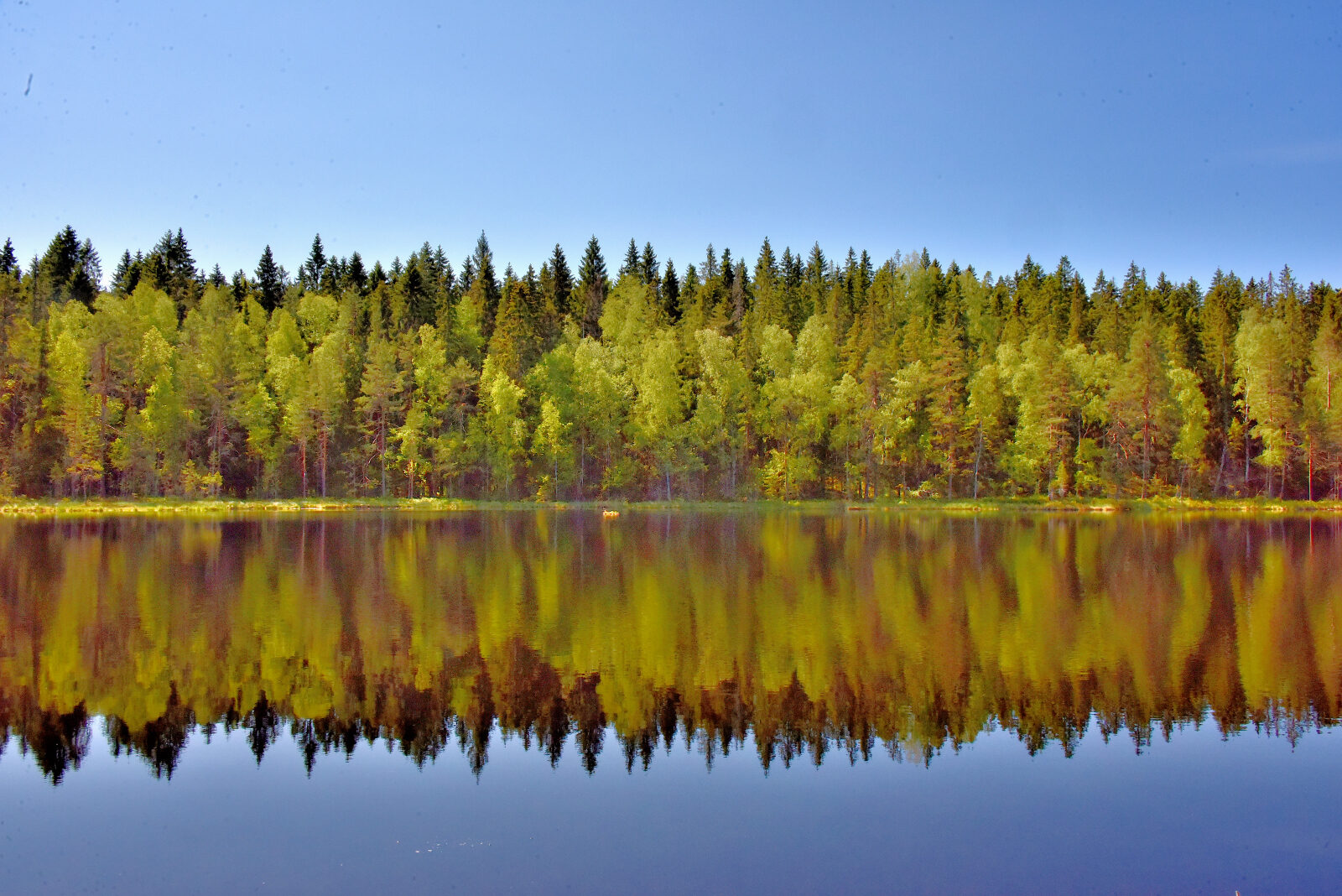 Valokuvaaja: Reijo Juurinen Valokuvaaja: Reijo Juurinen