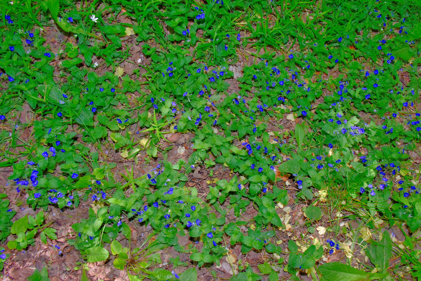 Valokuvaaja: Reijo Juurinen Valokuvaaja: Reijo Juurinen