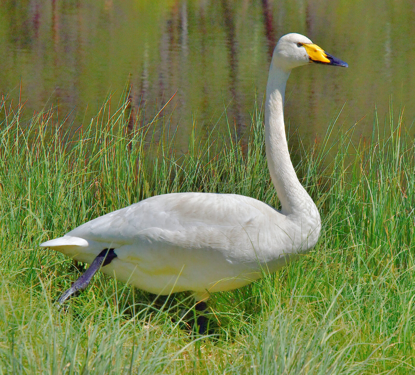 Valokuvaaja: Reijo Juurinen