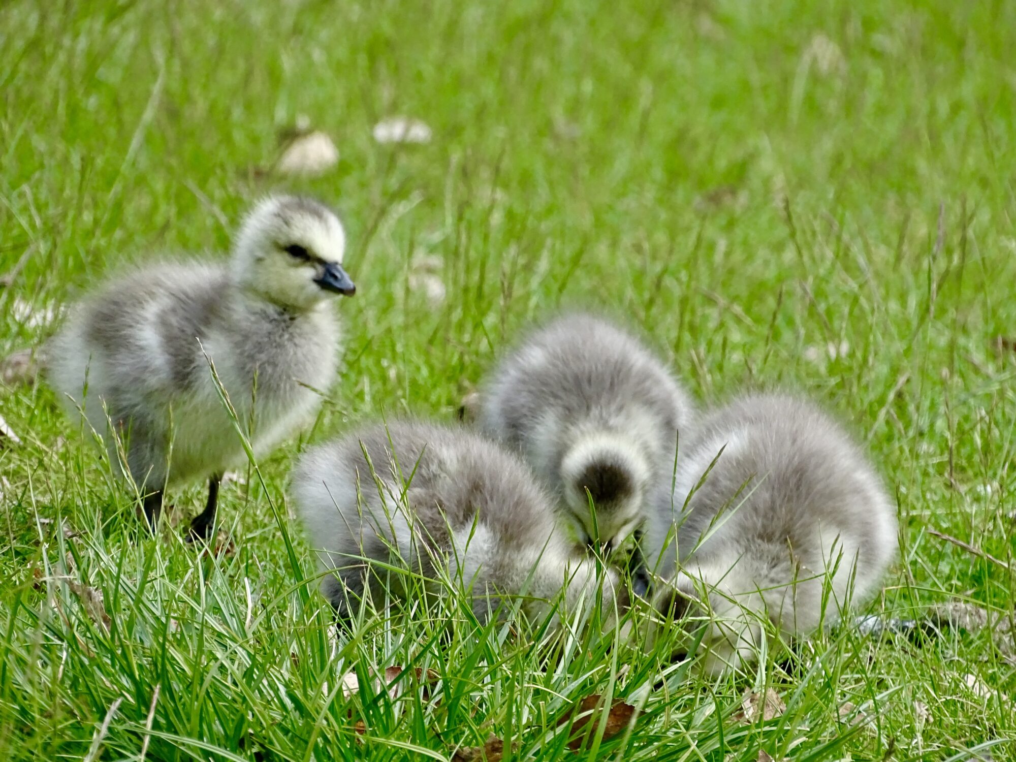 Valokuvaaja: Juhani Peltonen