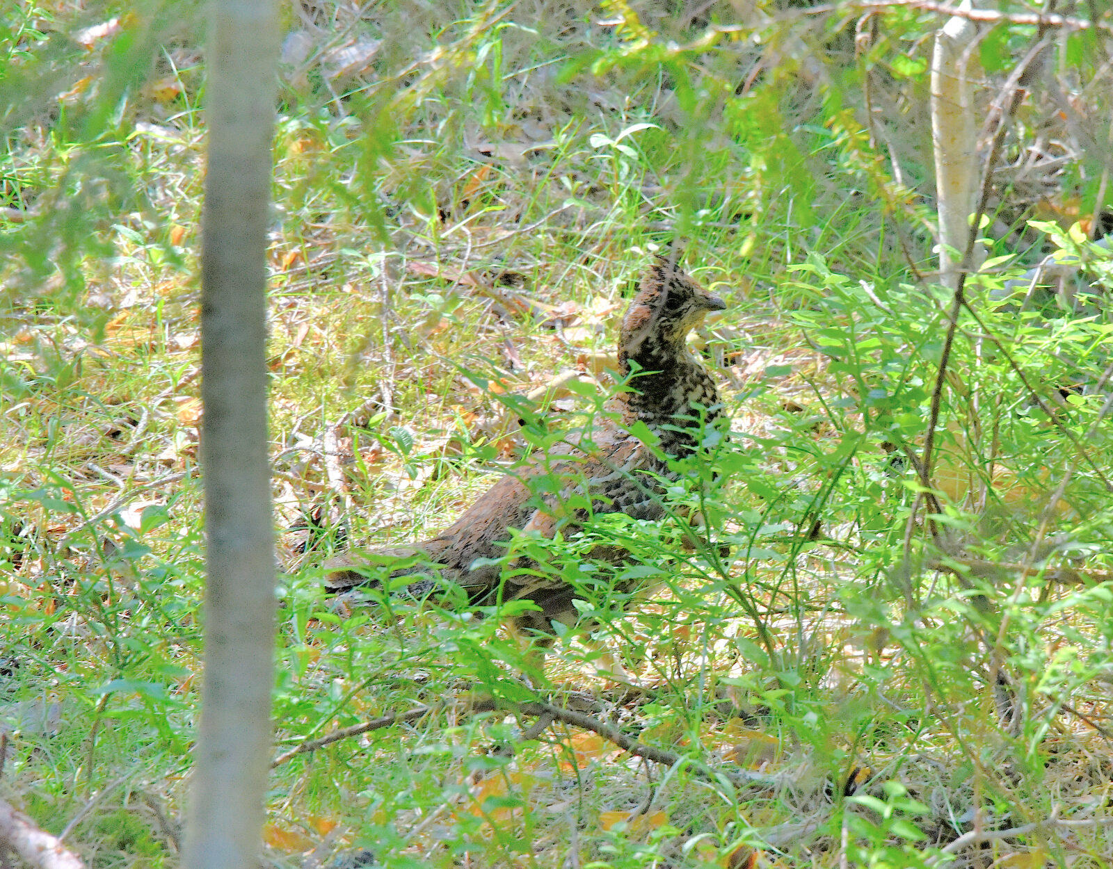 Valokuvaaja: Reijo Juurinen Valokuvaaja: Reijo Juurinen