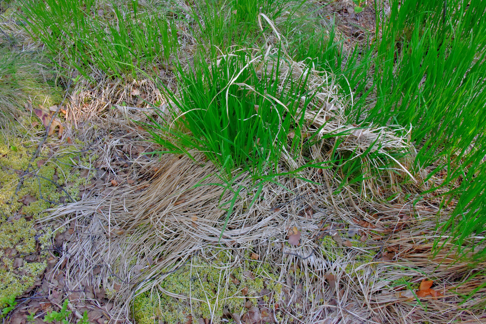 Valokuvaaja: Reijo Juurinen