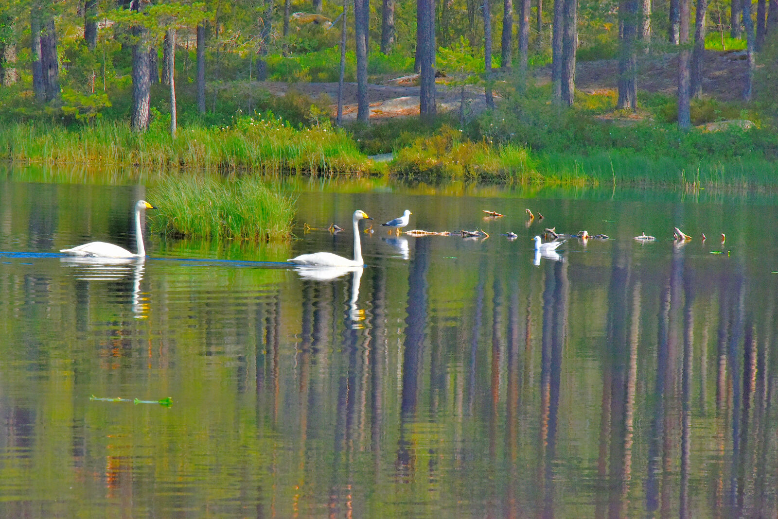 Valokuvaaja: Reijo Juurinen