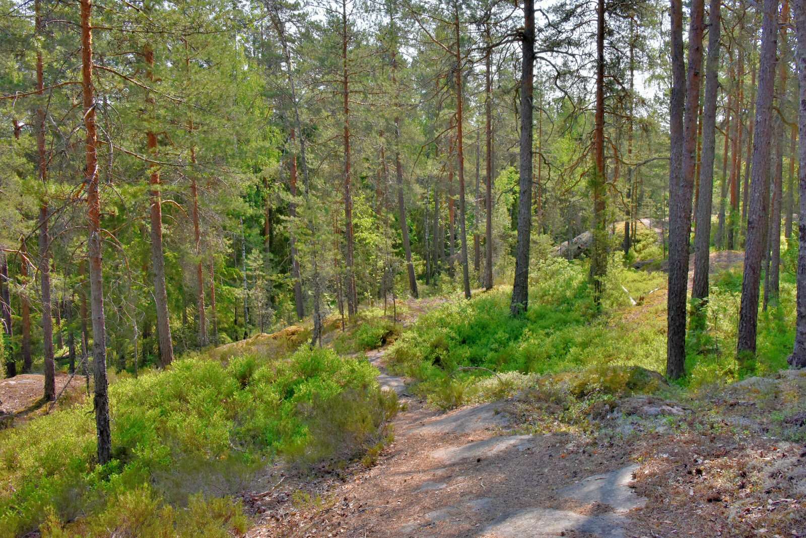 Valokuvaaja: Reijo Juurinen Valokuvaaja: Reijo Juurinen