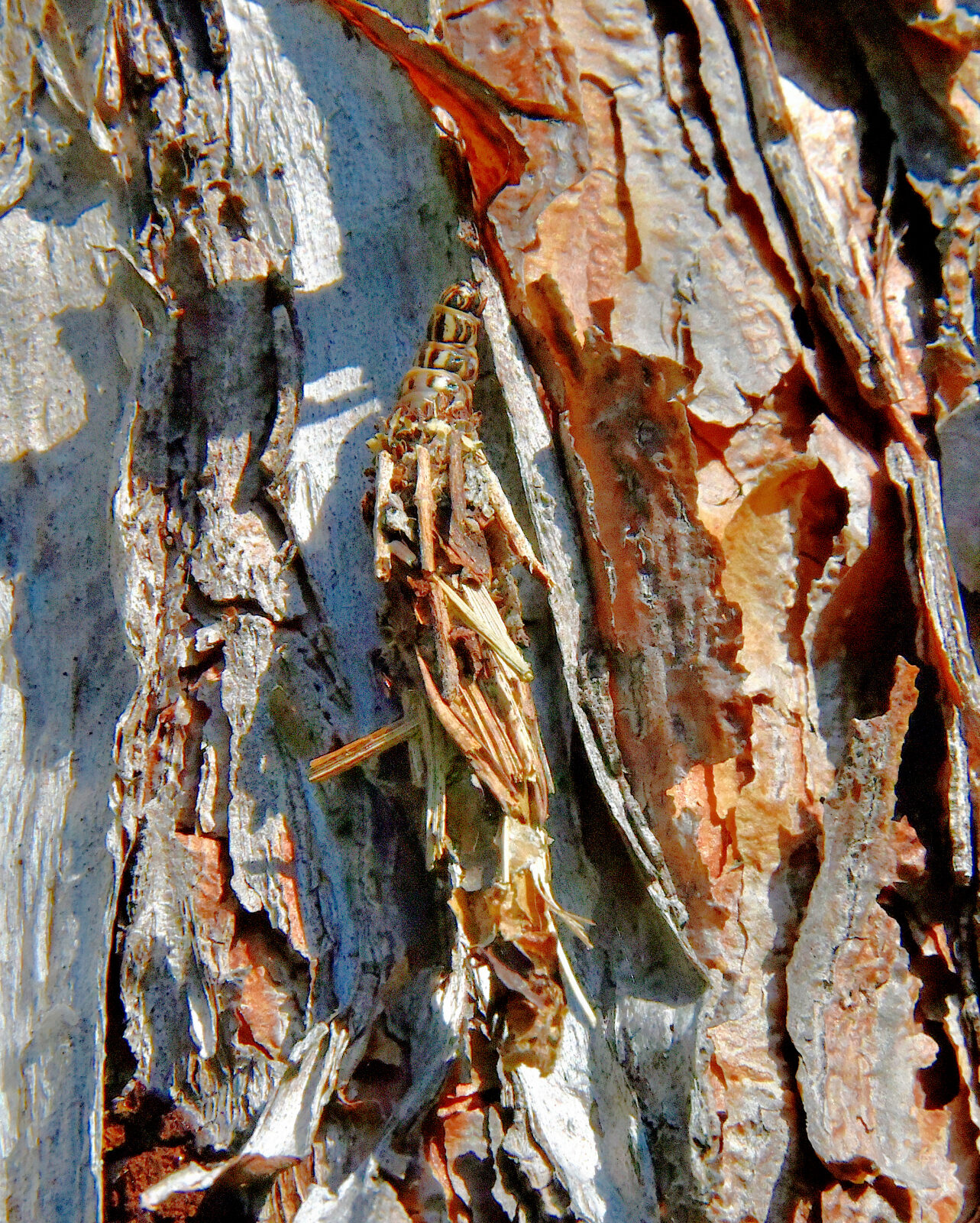 Valokuvaaja: Reijo Juurinen