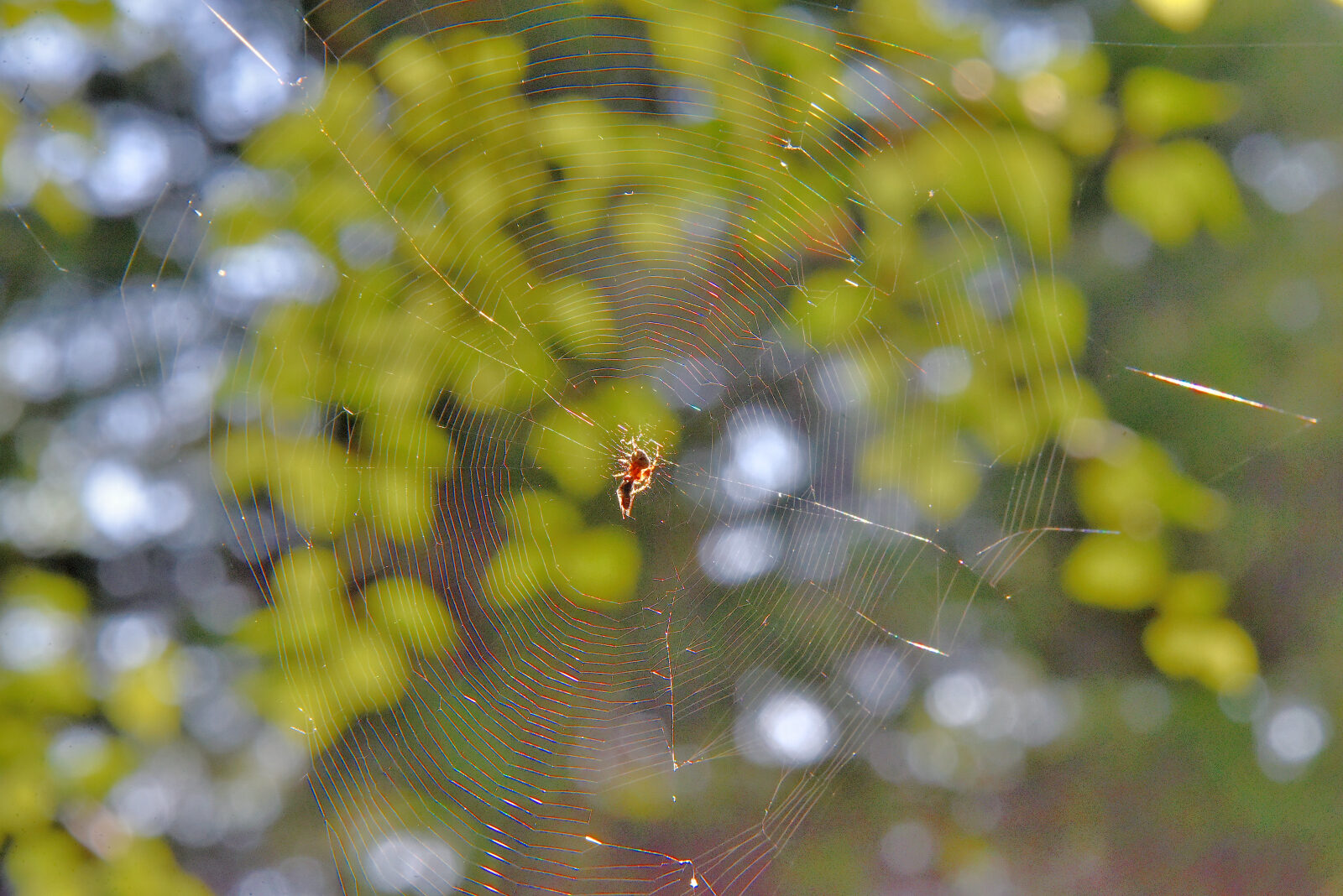 Valokuvaaja: Reijo Juurinen