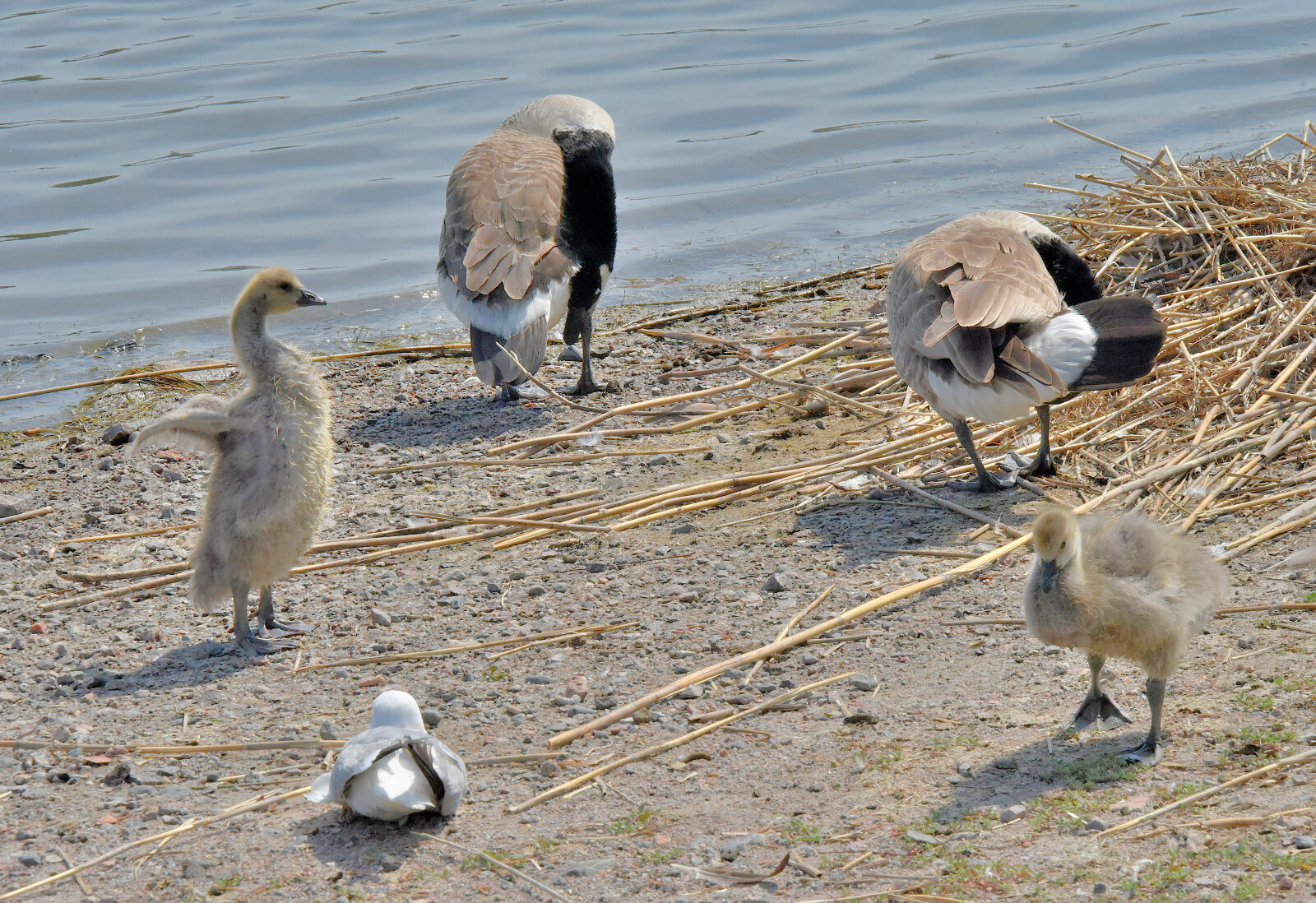 Valokuvaaja: Reijo Juurinen