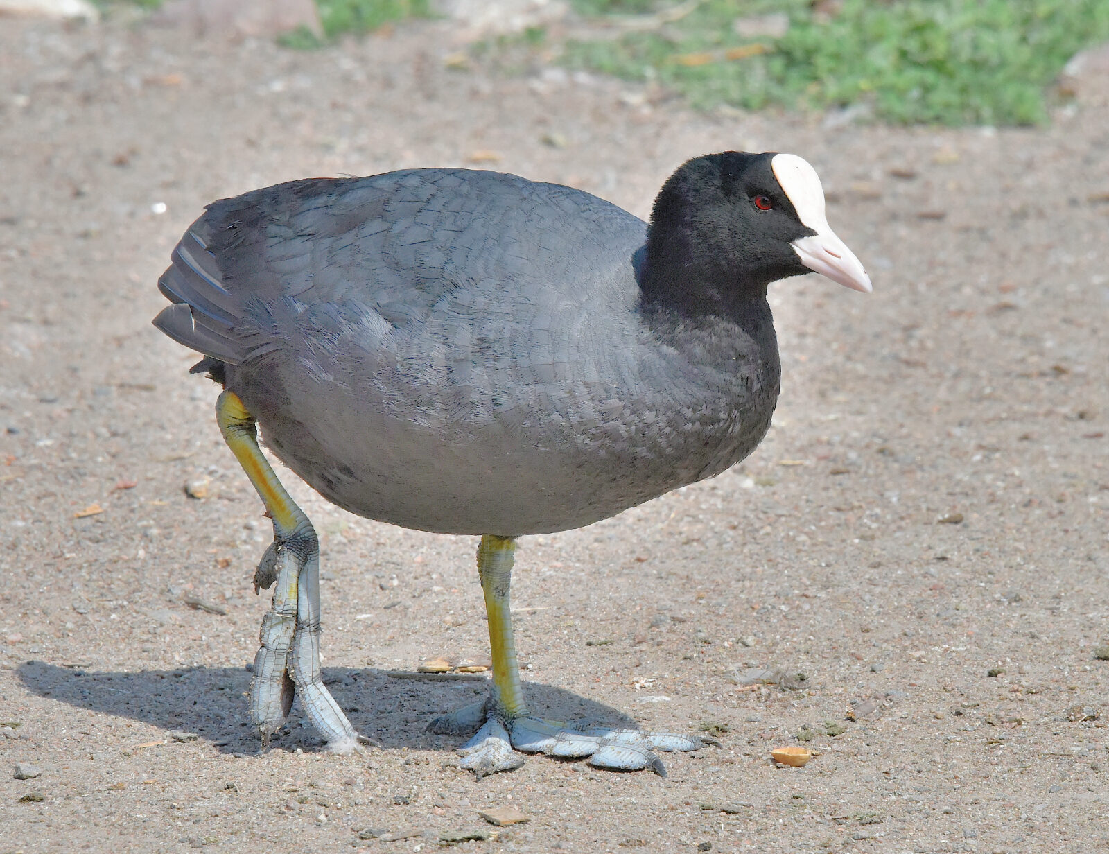 Valokuvaaja: Reijo Juurinen