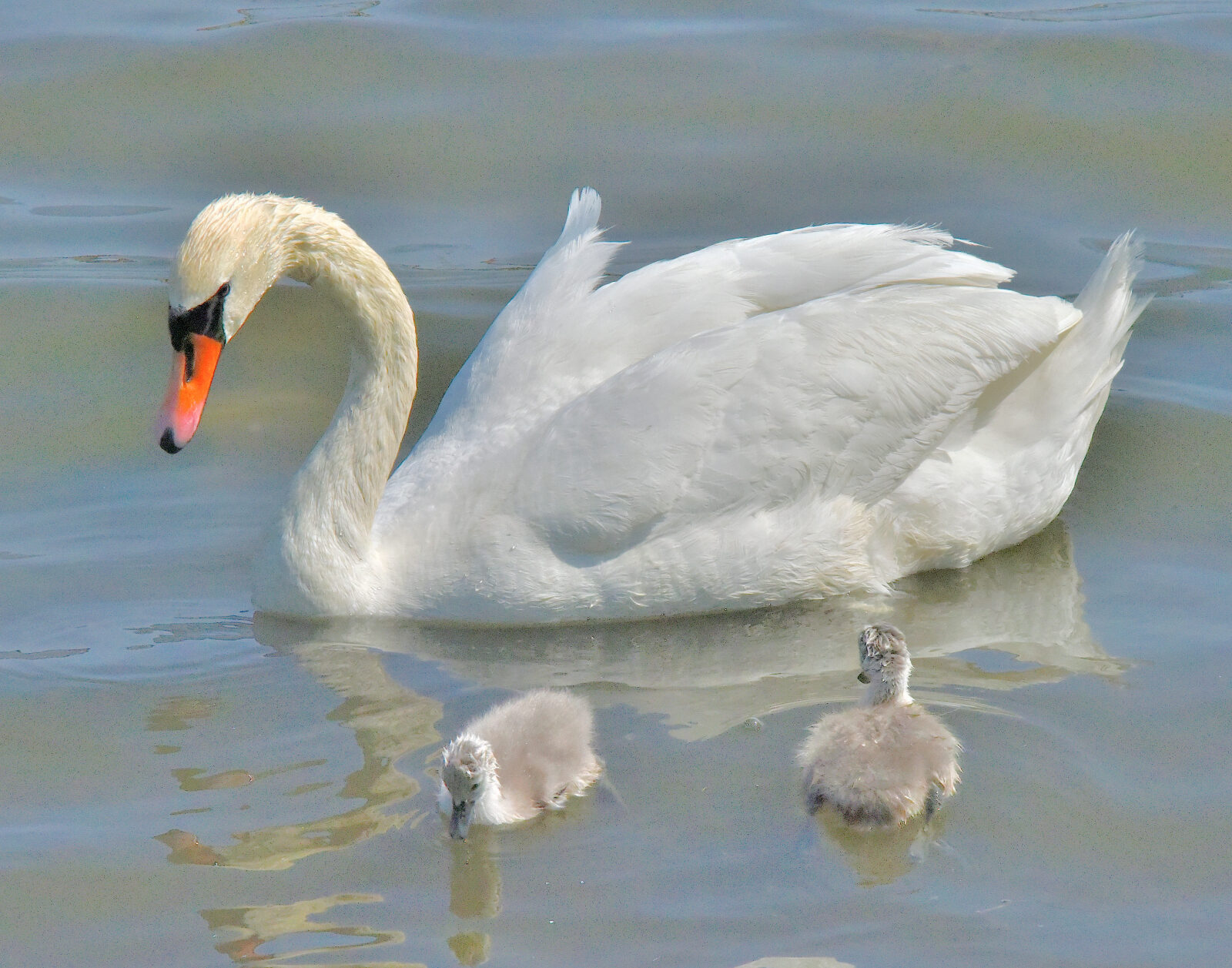 Valokuvaaja: Reijo Juurinen