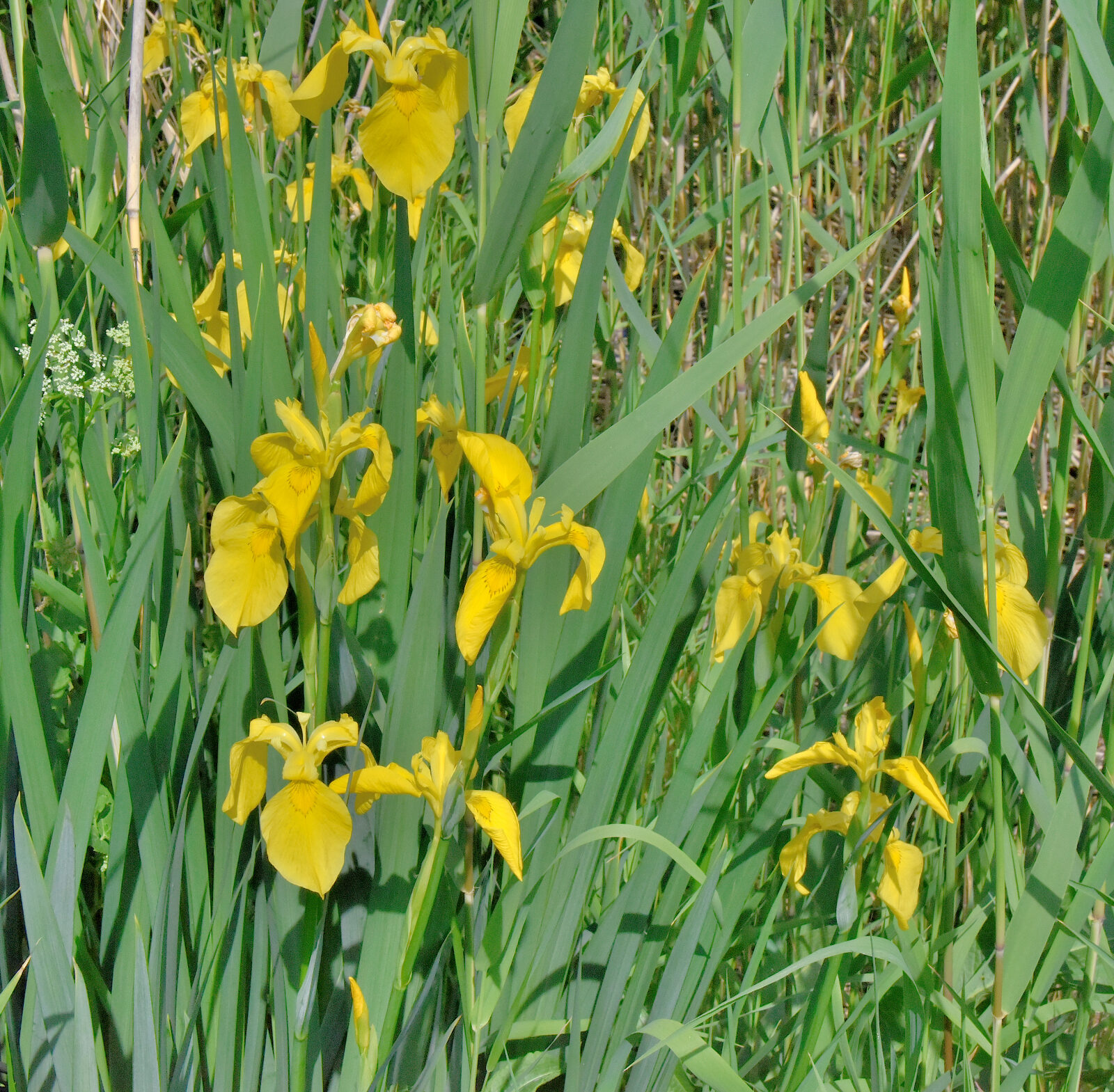 Valokuvaaja: Reijo Juurinen