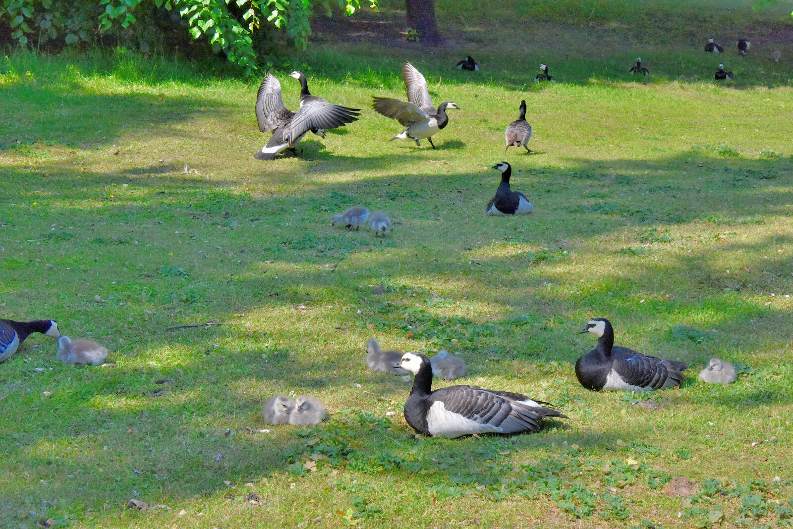 Valokuvaaja: Reijo Juurinen Valokuvaaja: Reijo Juurinen