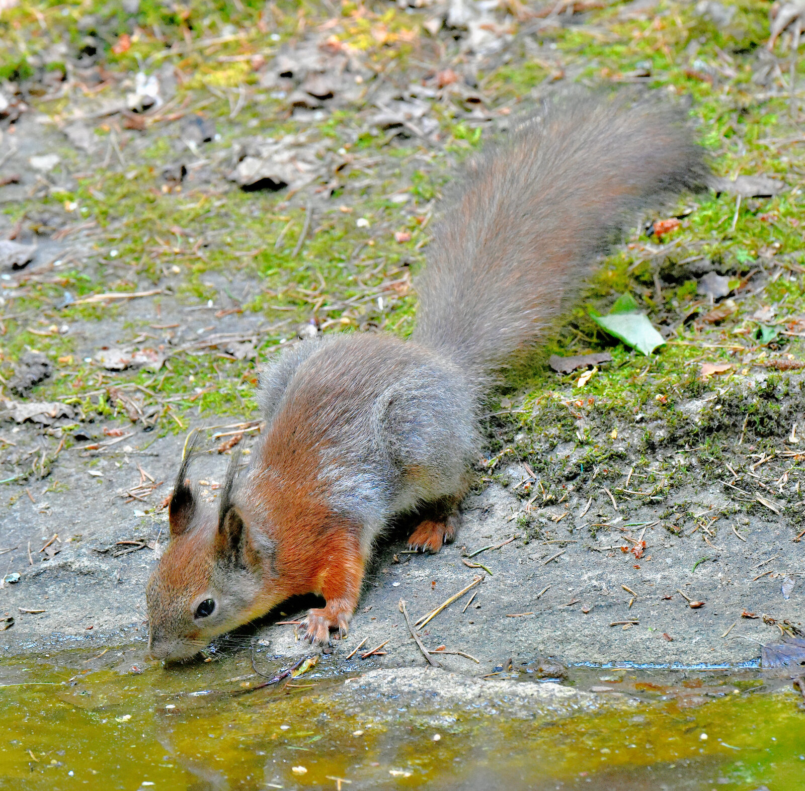 Valokuvaaja: Reijo Juurinen