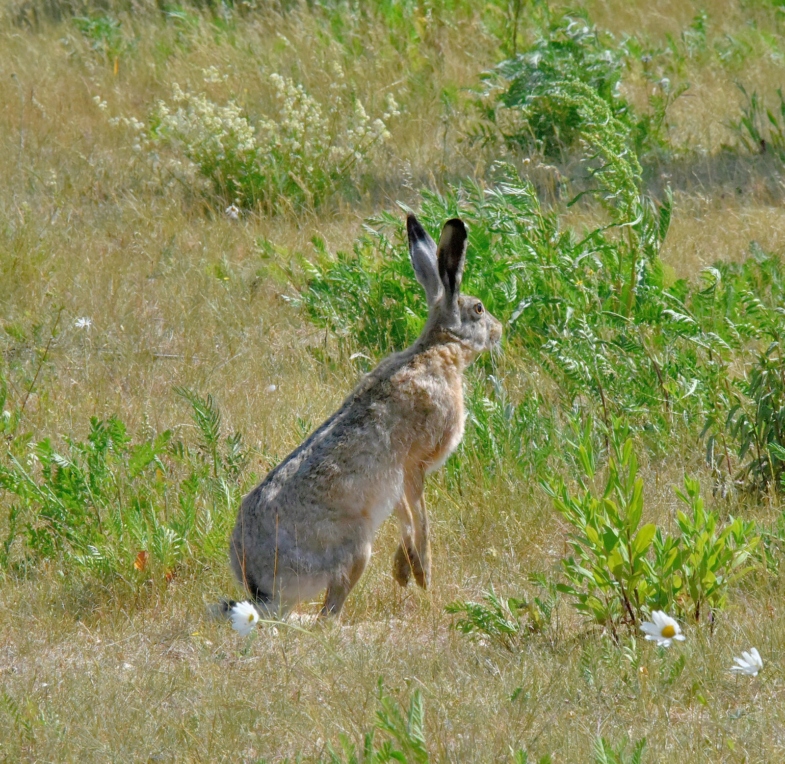 Valokuvaaja: Reijo Juurinen