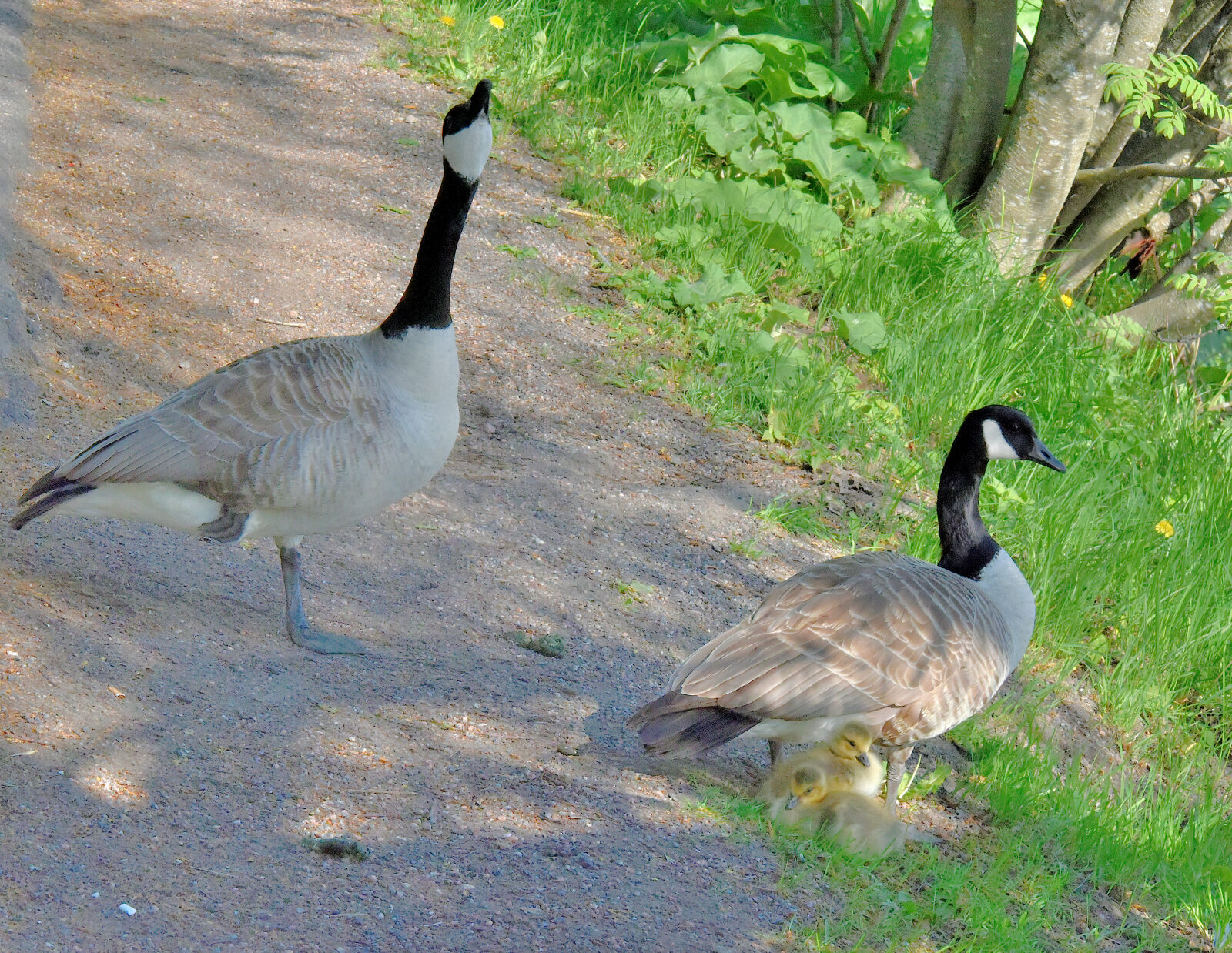 Valokuvaaja: Reijo Juurinen