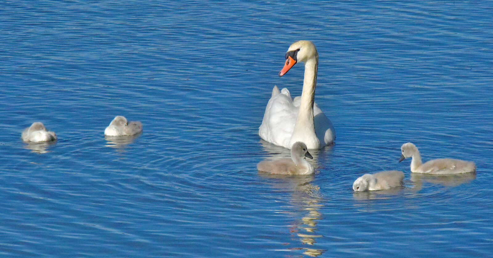 Valokuvaaja: Reijo Juurinen
