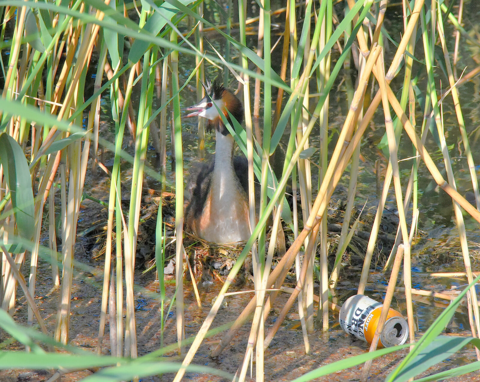 Valokuvaaja: Reijo Juurinen