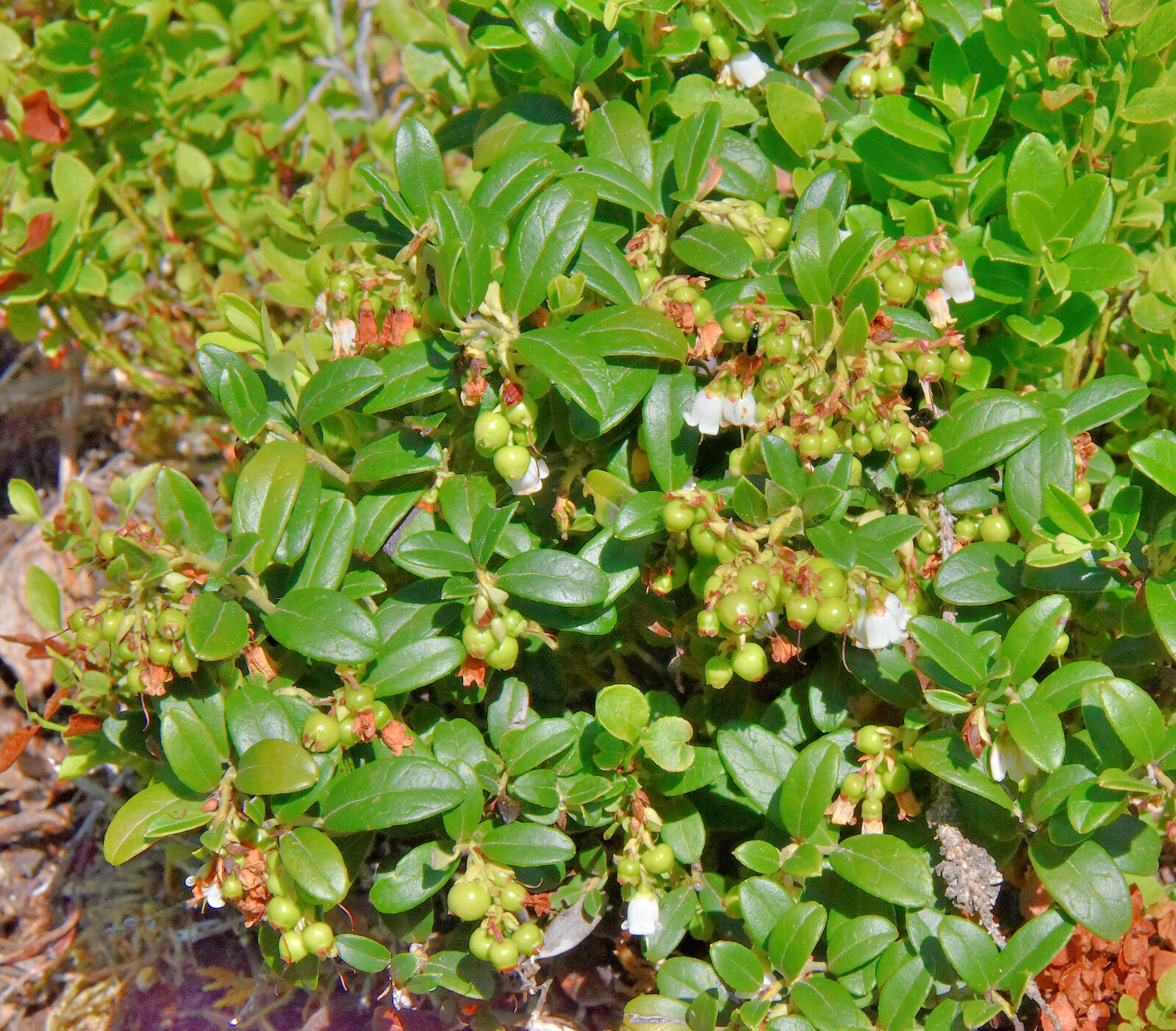 Valokuvaaja: Reijo Juurinen