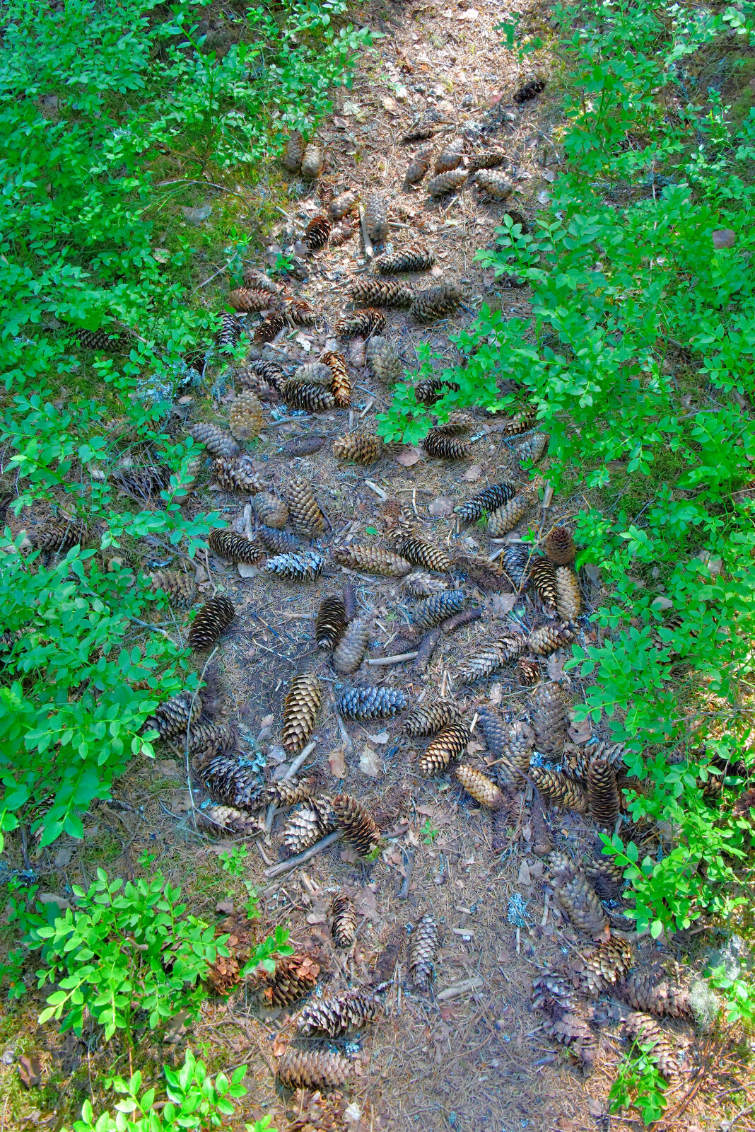 Valokuvaaja: Reijo Juurinen
