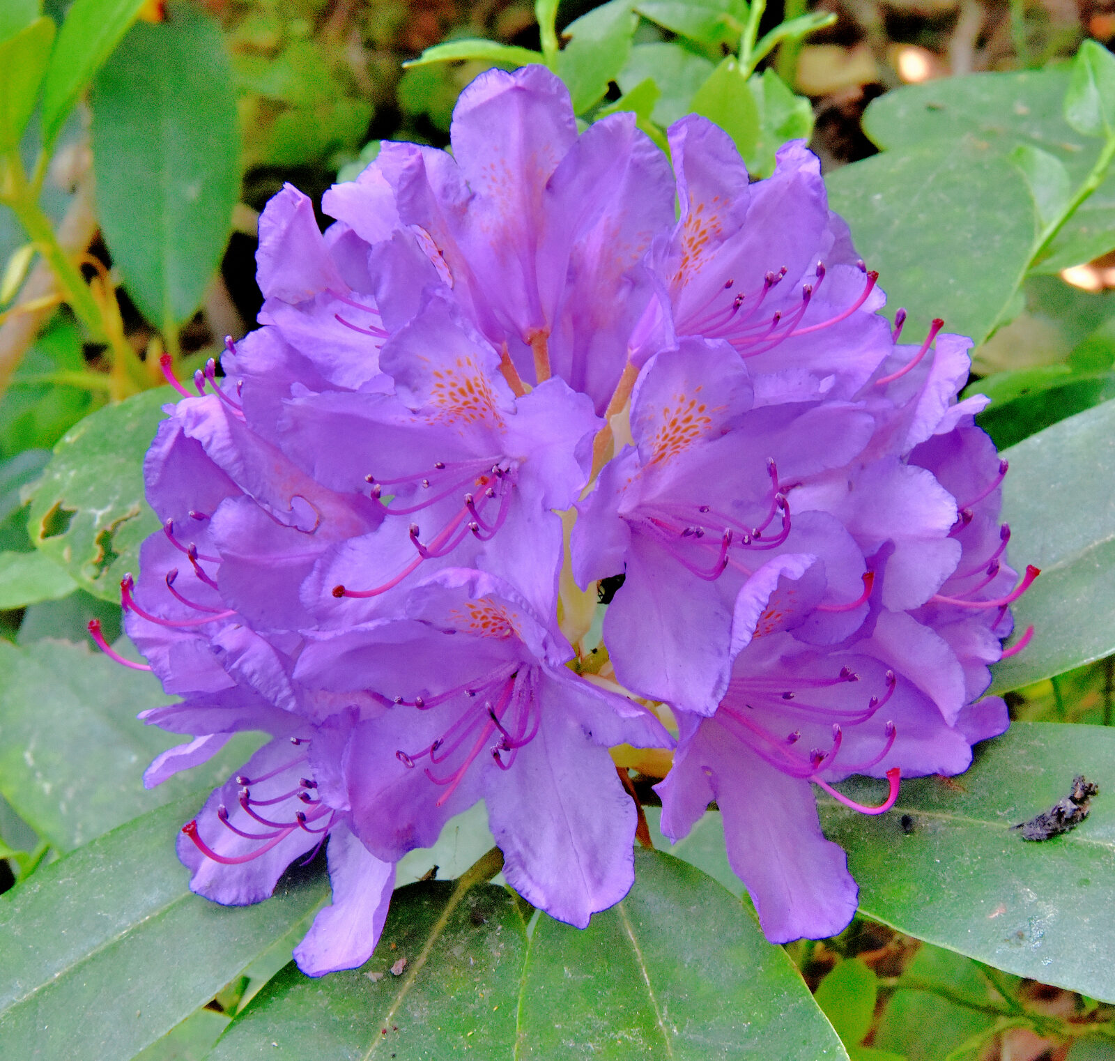 Valokuvaaja: Reijo Juurinen Valokuvaaja: Reijo Juurinen