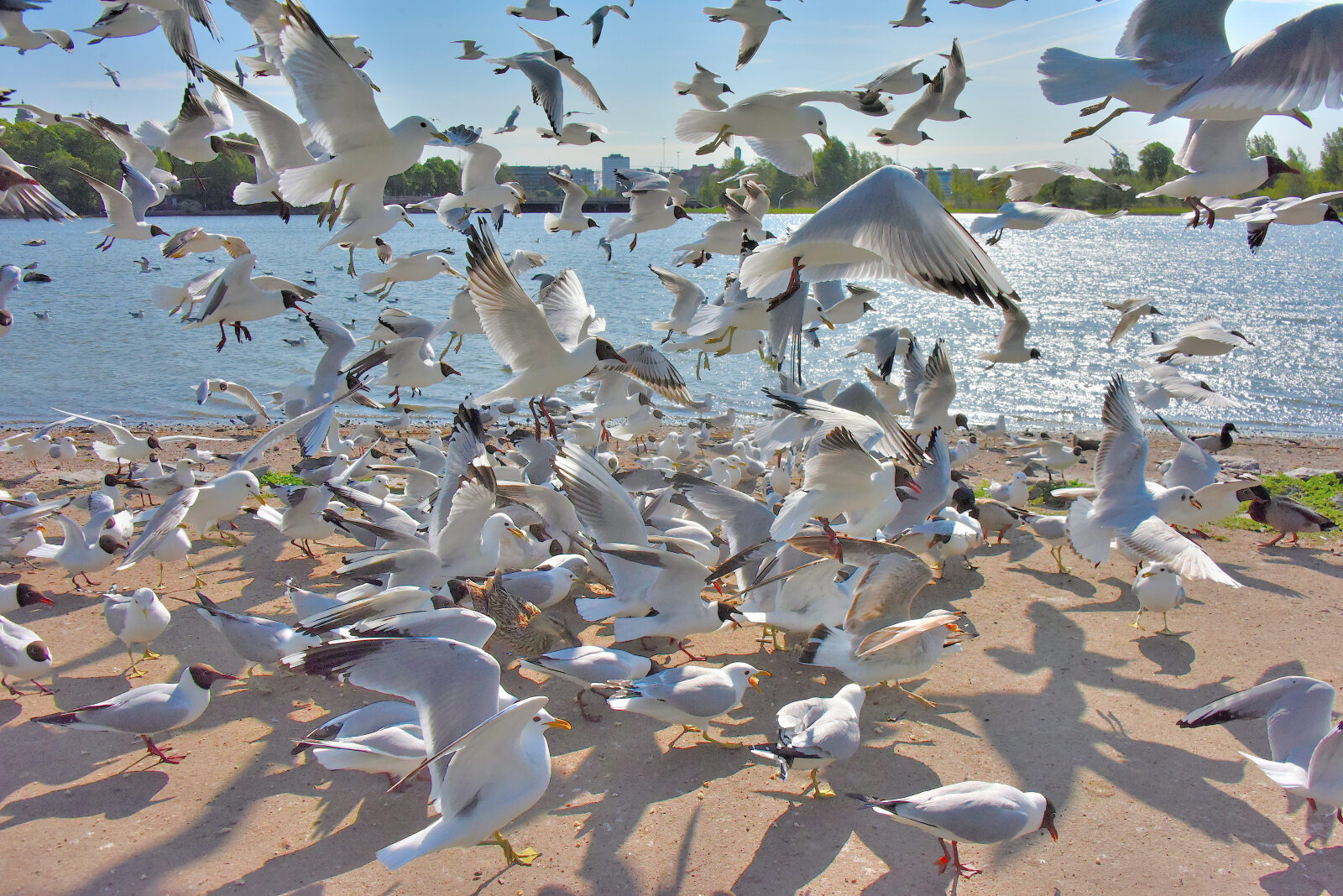 Valokuvaaja: Reijo Juurinen