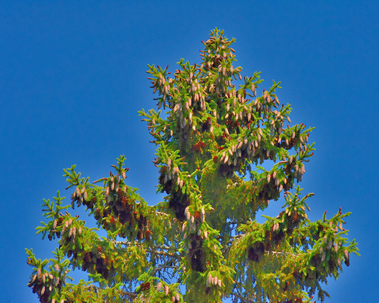 Valokuvaaja: Reijo Juurinen