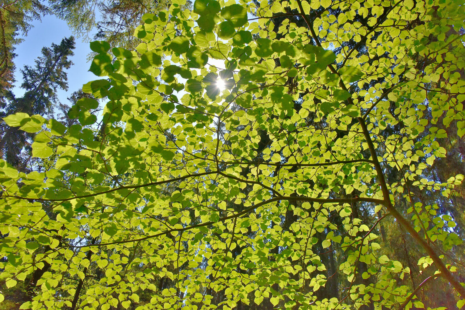 Valokuvaaja: Reijo Juurinen