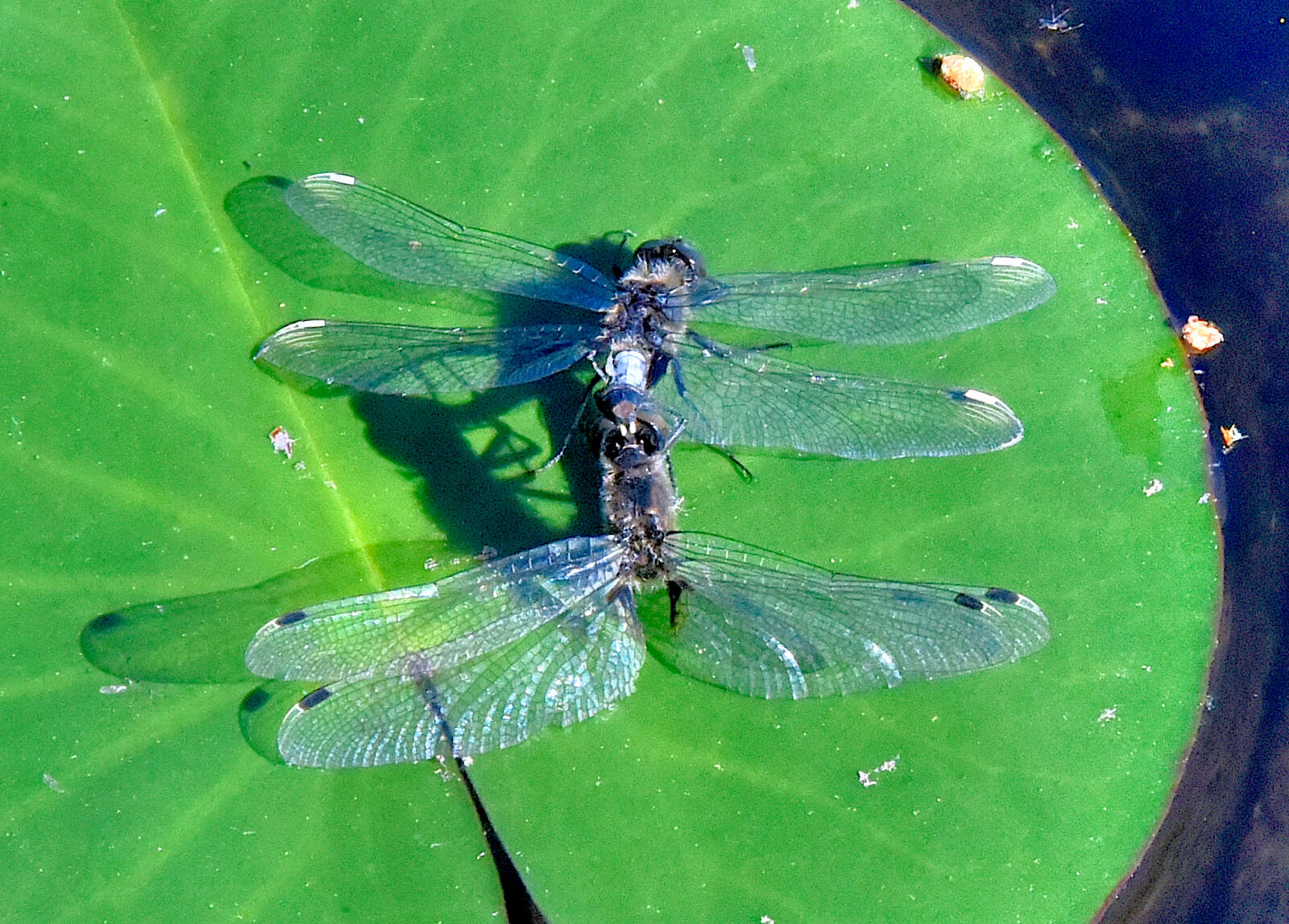 Valokuvaaja: Reijo Juurinen
