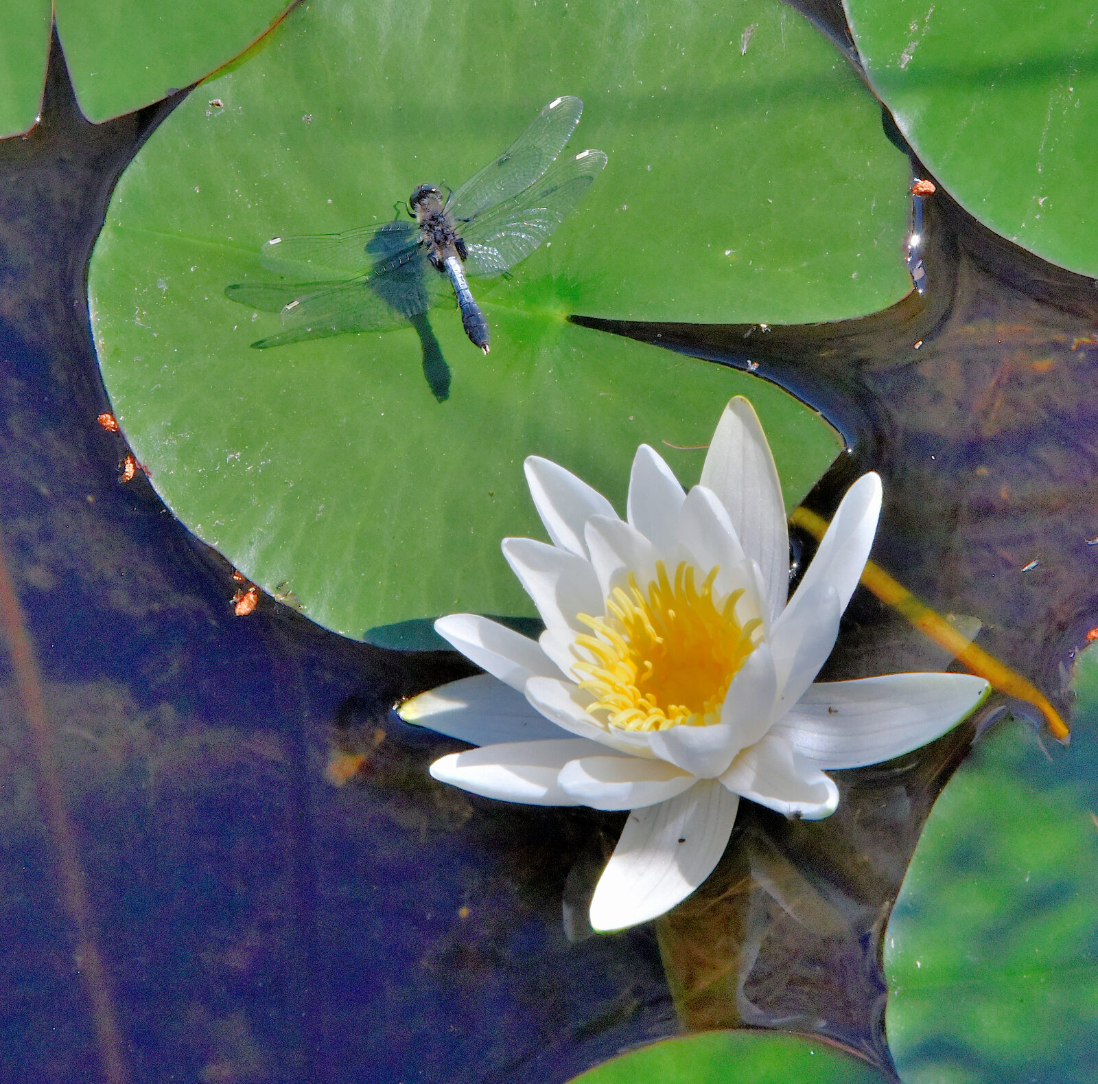Valokuvaaja: Reijo Juurinen