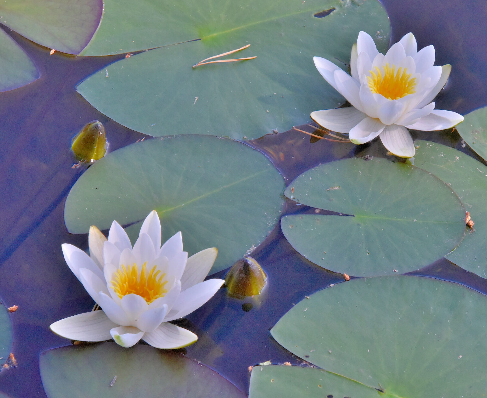 Valokuvaaja: Reijo Juurinen