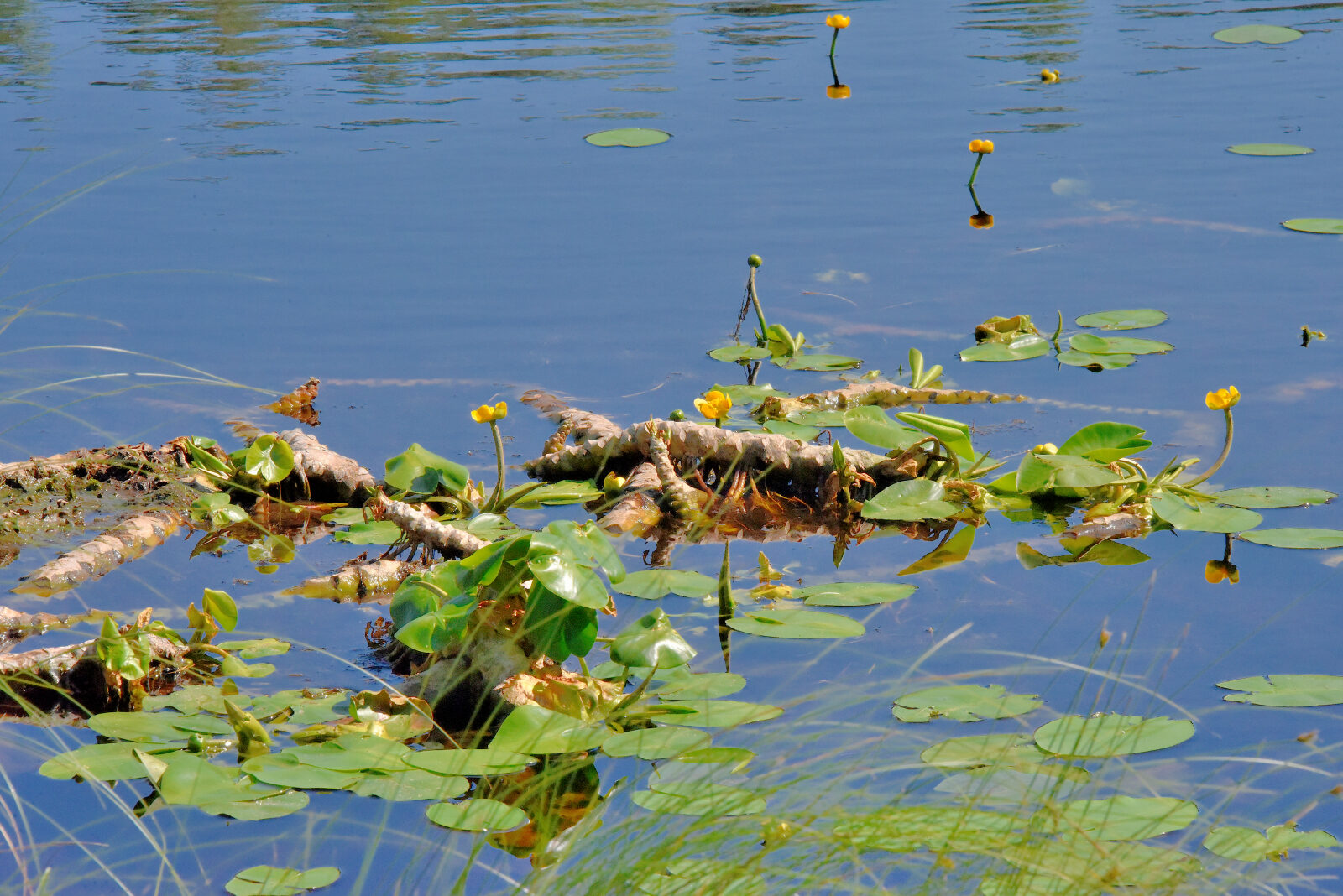 Valokuvaaja: Reijo Juurinen