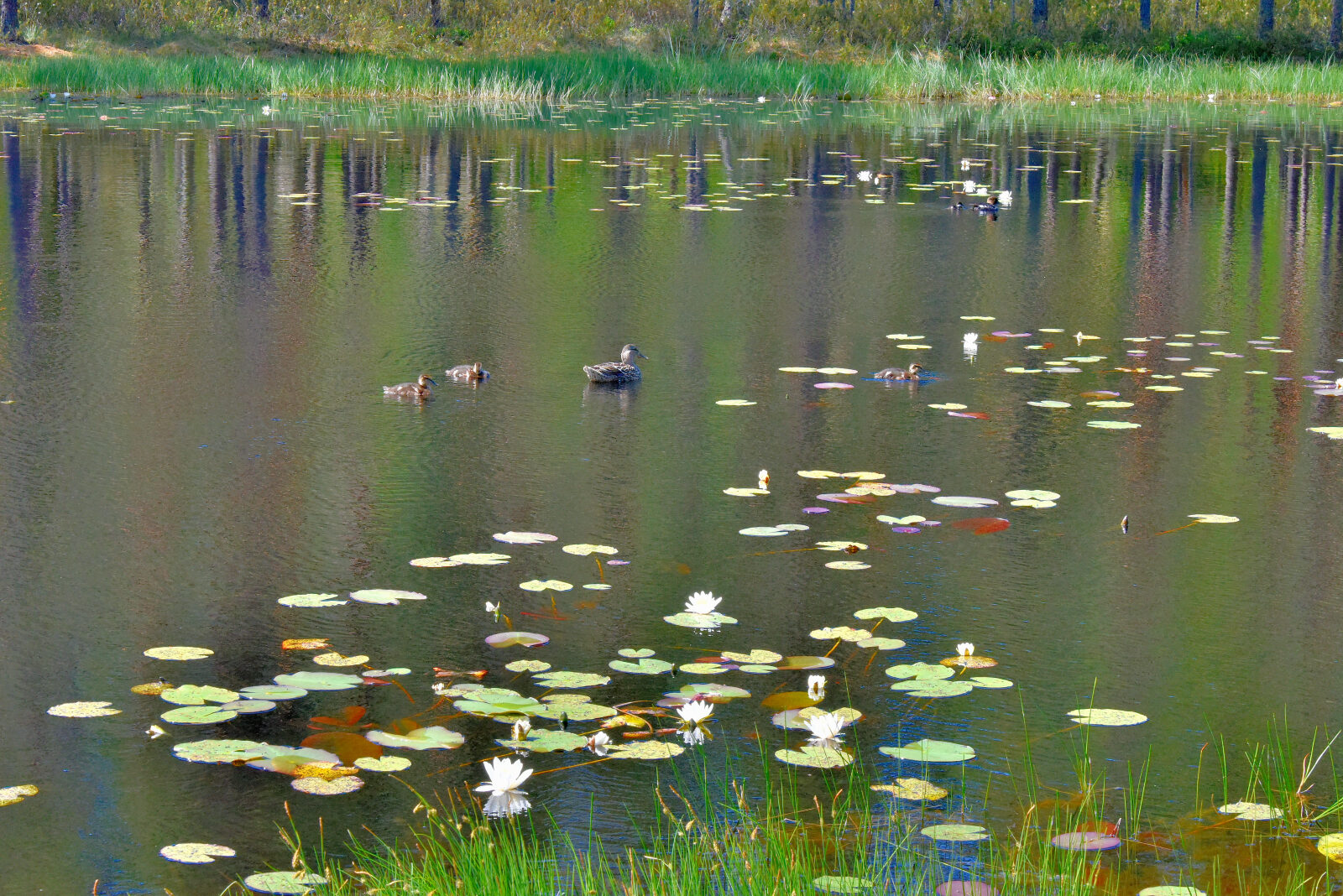 Valokuvaaja: Reijo Juurinen