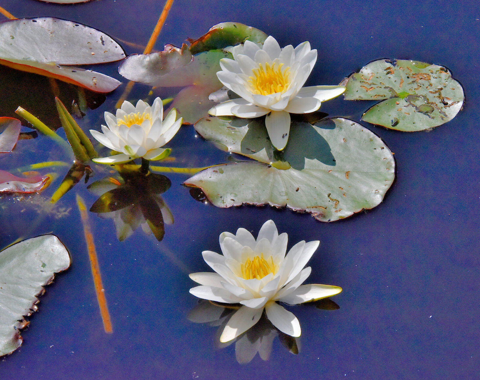 Valokuvaaja: Reijo Juurinen